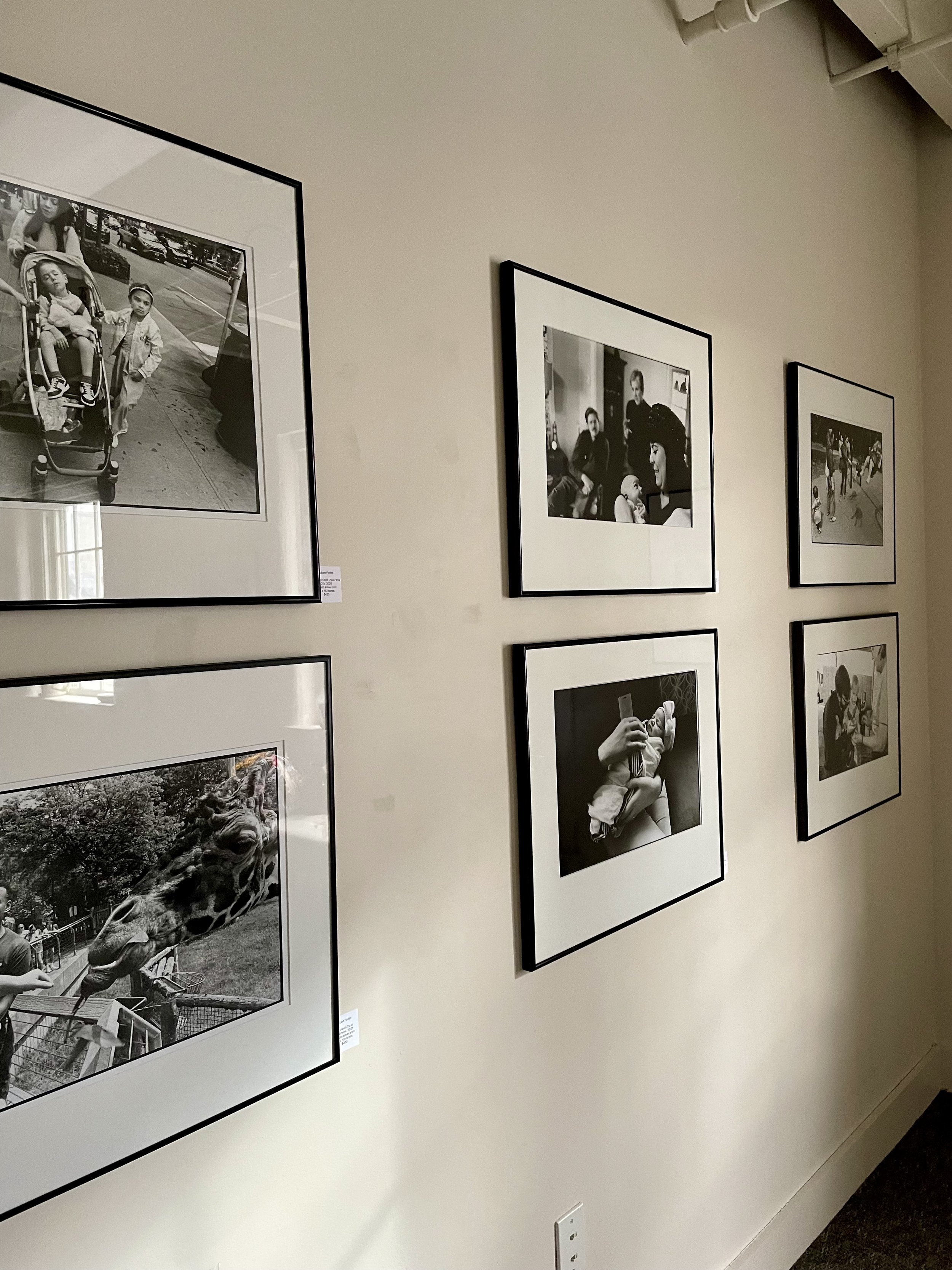 26 look here forlini frames.jpg (Copy) (Copy) (Copy) (Copy)