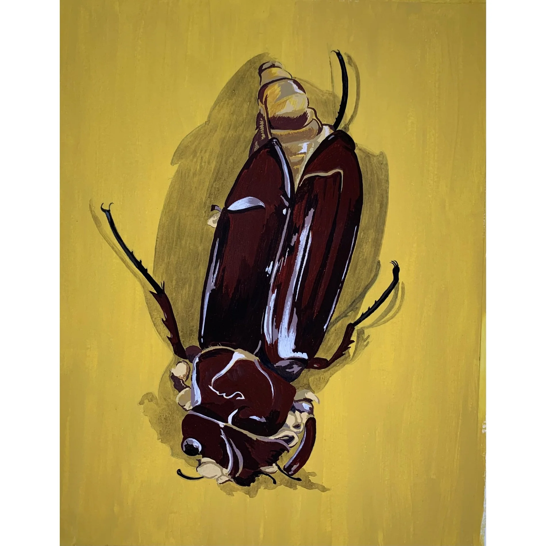 Gregory Snader - Beetle Roseville 070425