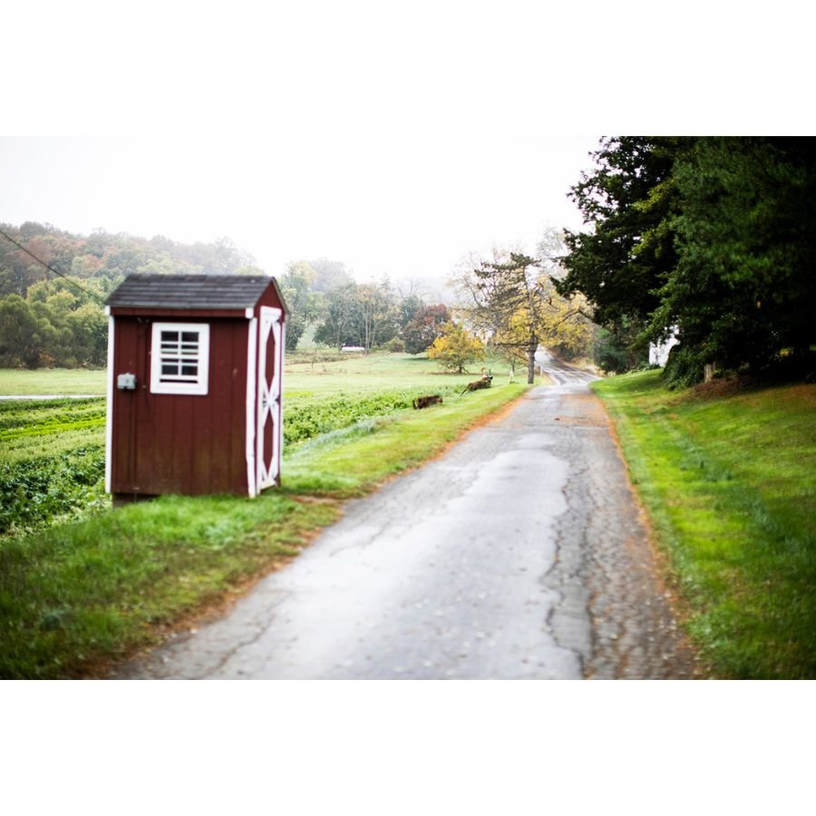 Jenny Schulder - The Tip of My Nose Is Cold