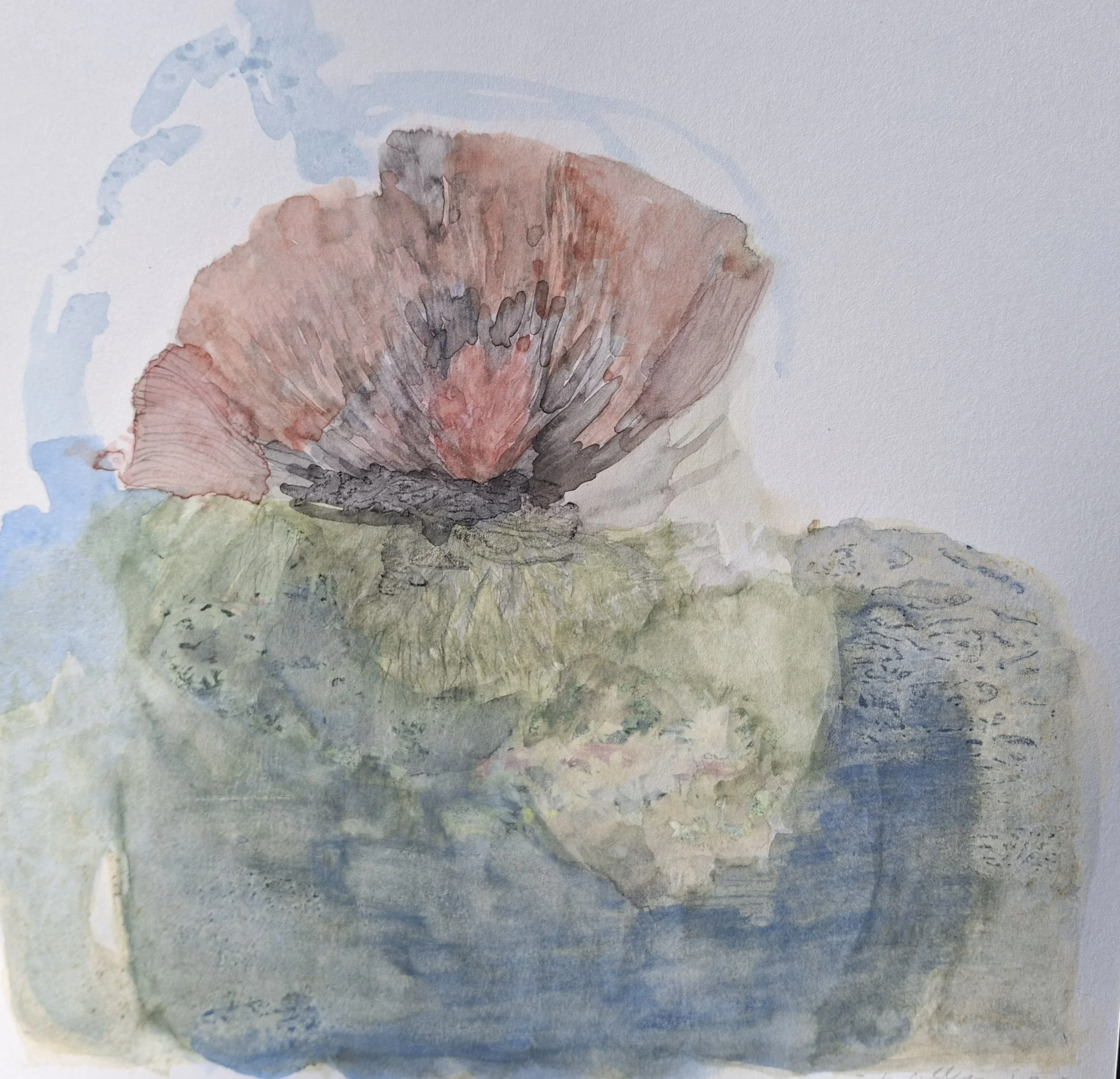 Collins_soil_sky_8x8 - Andrea Collins.jpg