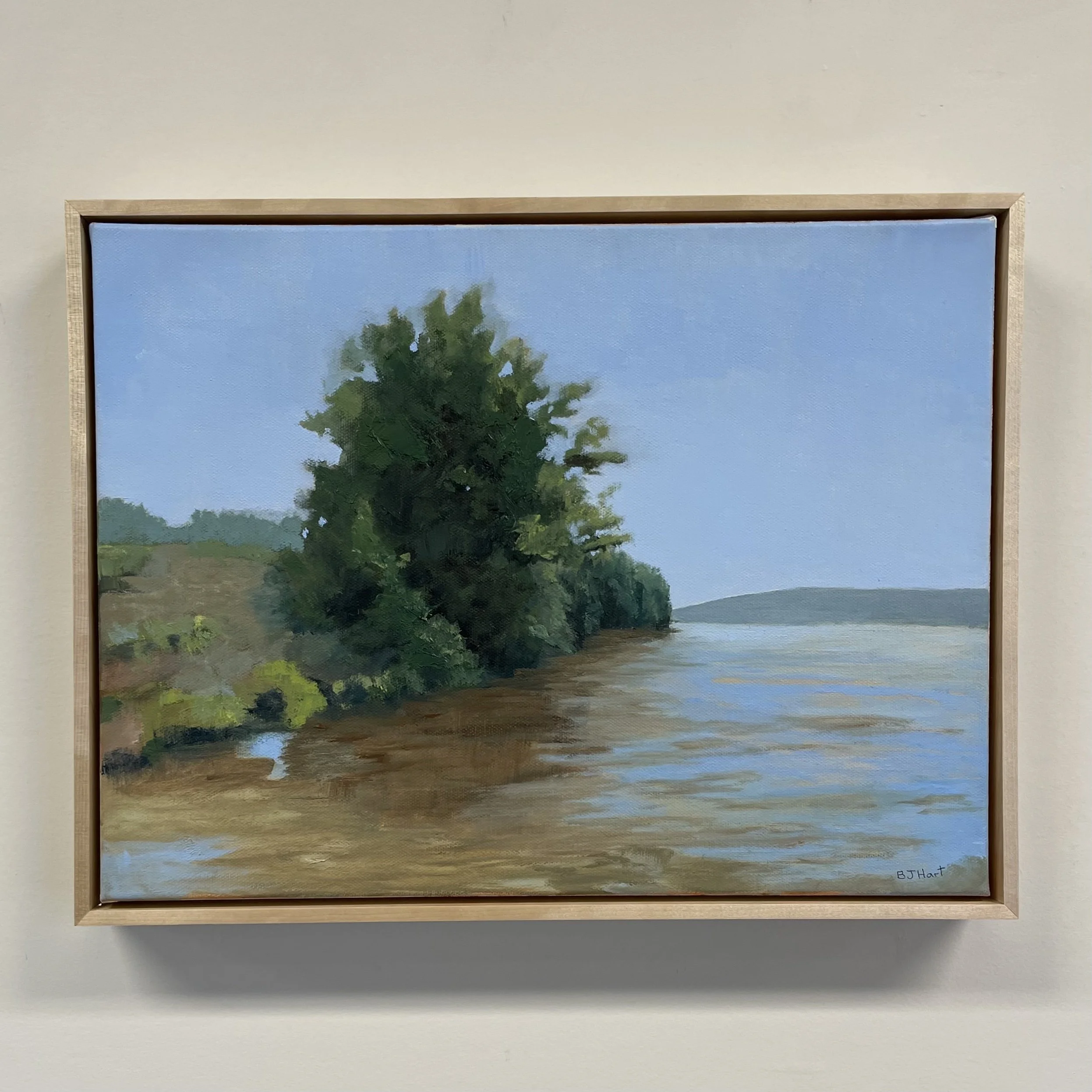 Barbara J Hart - Conejahela Flats