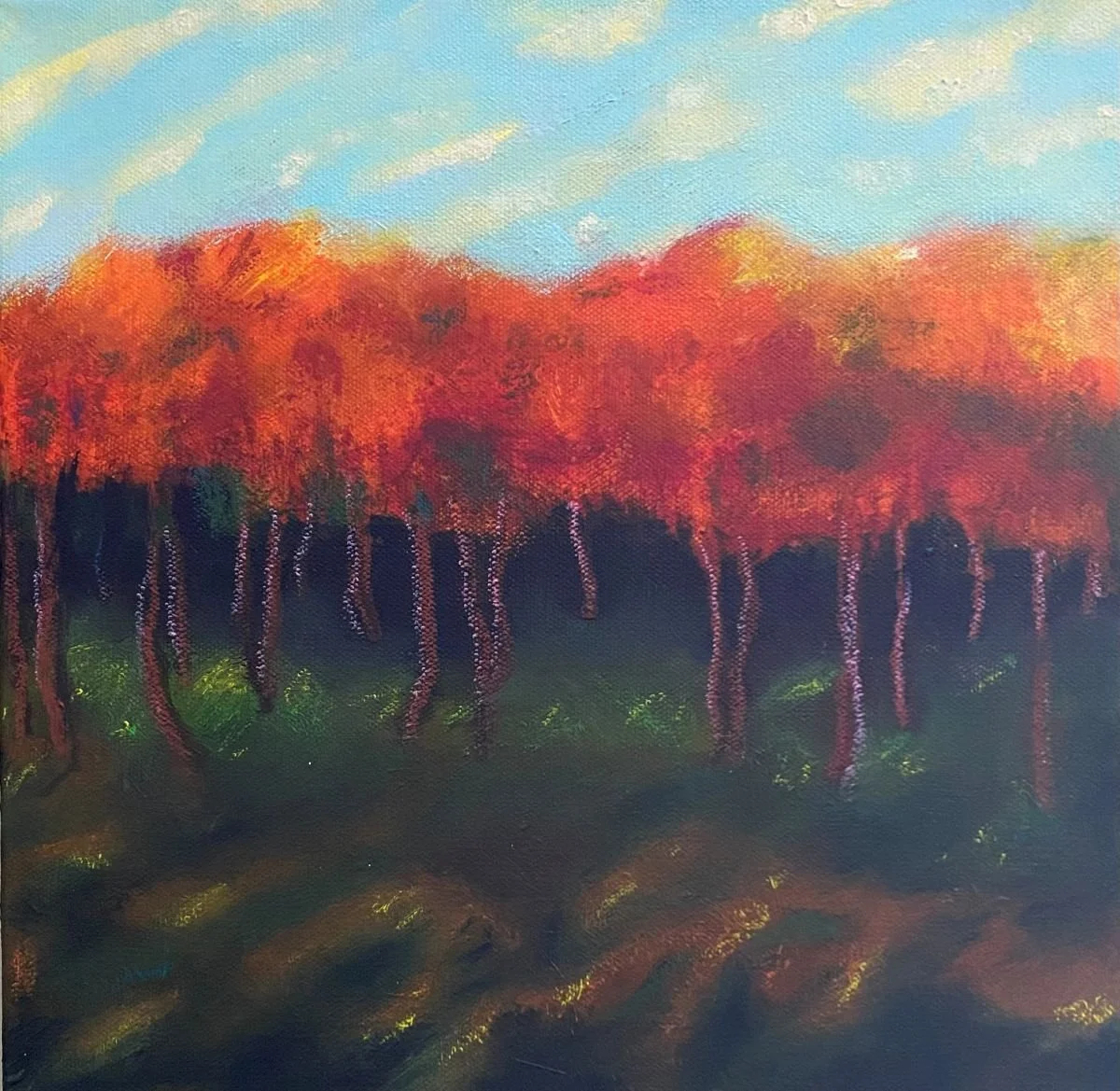 26ArcadiaCrowlGrove - Don.jpg