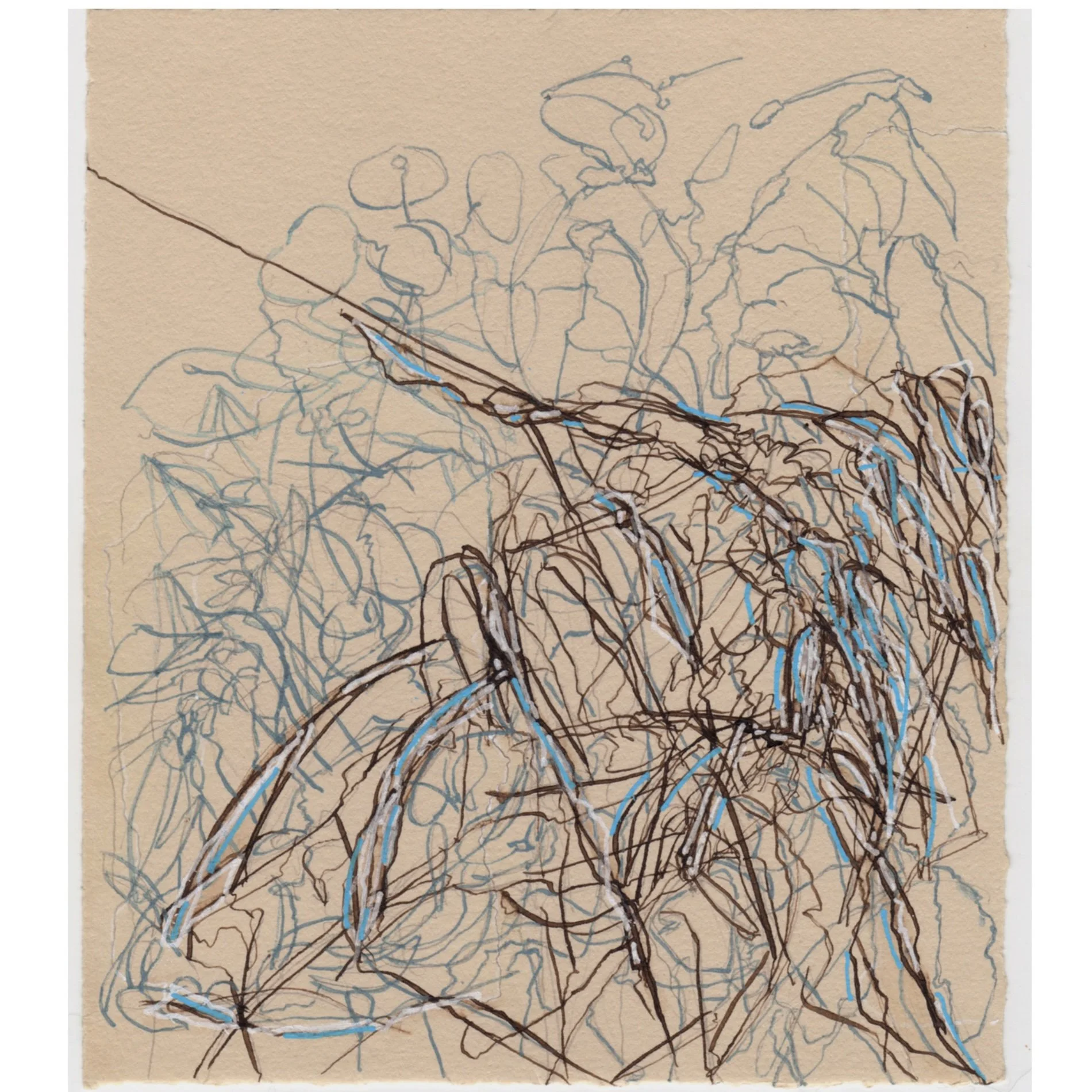 Becky Blosser - Notes Series Plants, Rhymes, Heave