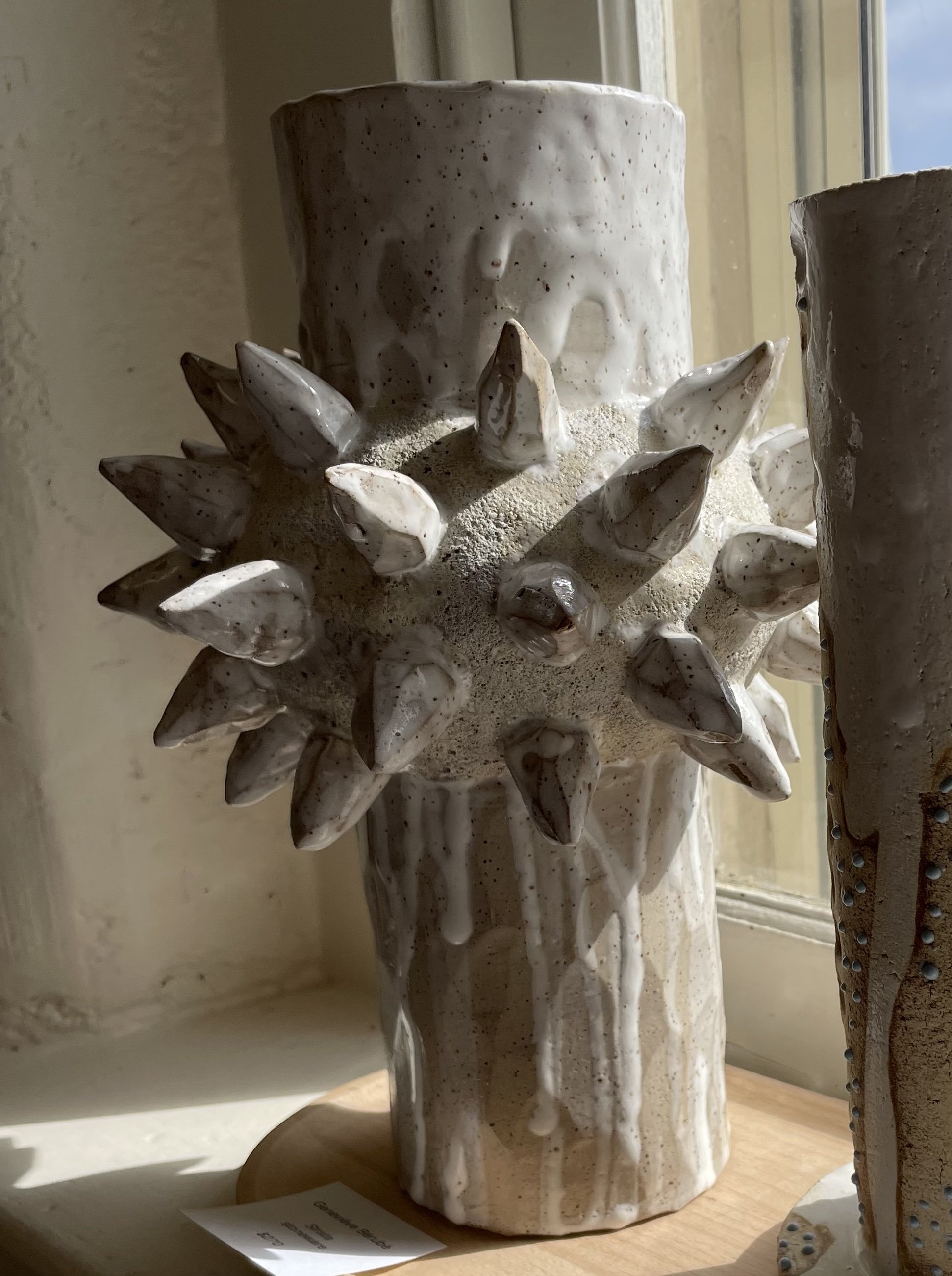 Geneviève Bérubé - Carapace Vessel