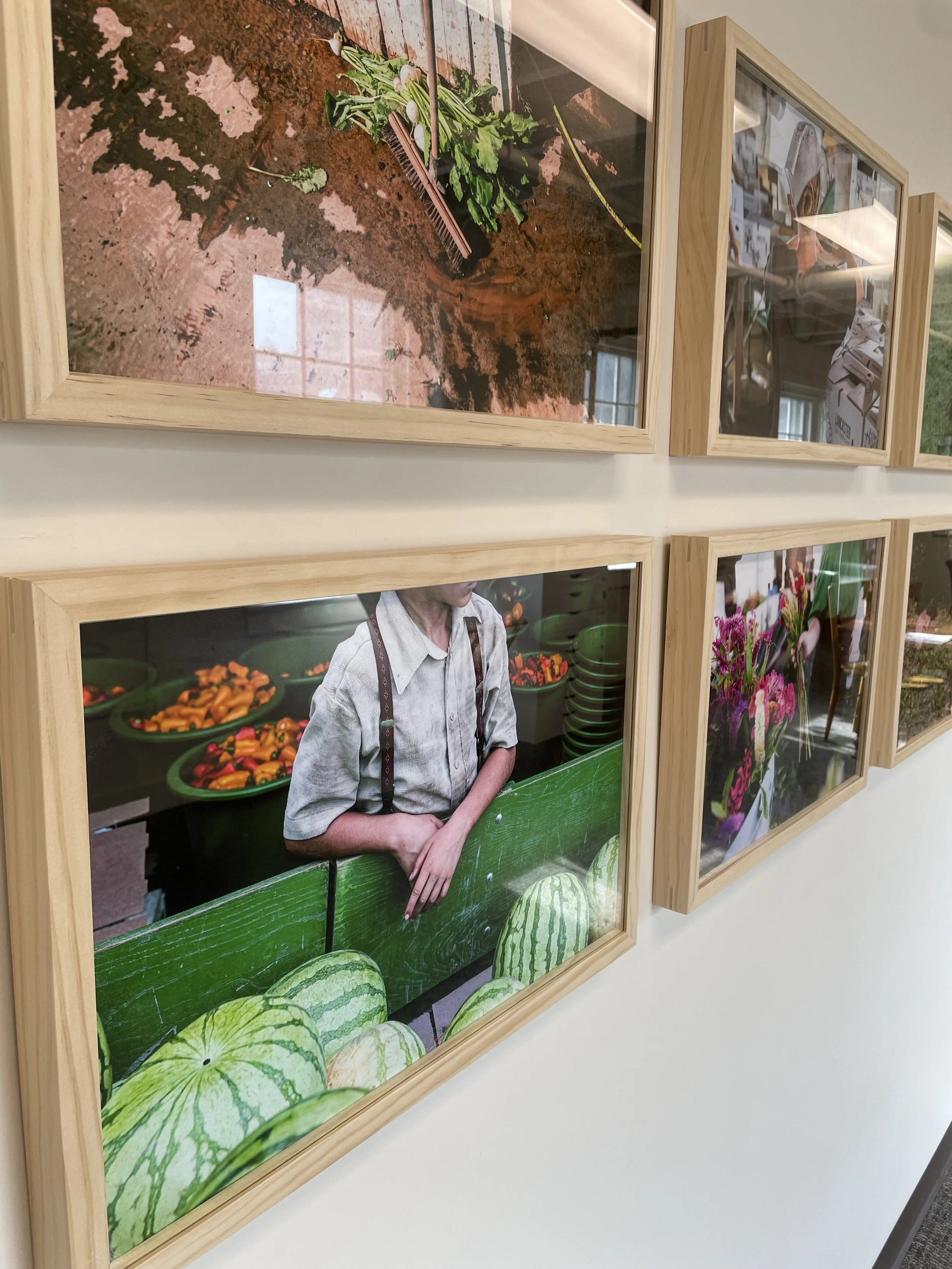 26 look here Schulder frames.jpg (Copy)