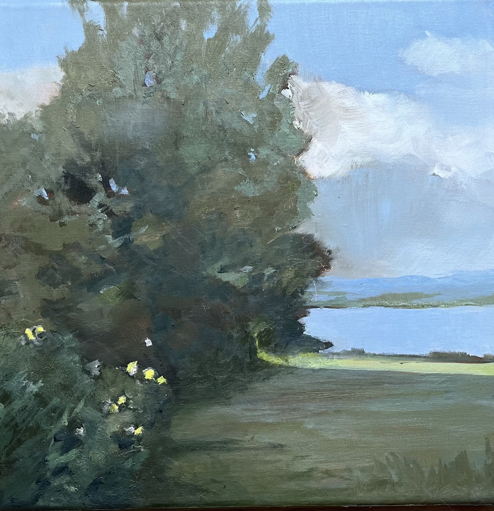 26ArcadaHartFrom the Train - Barbara Hart.jpeg