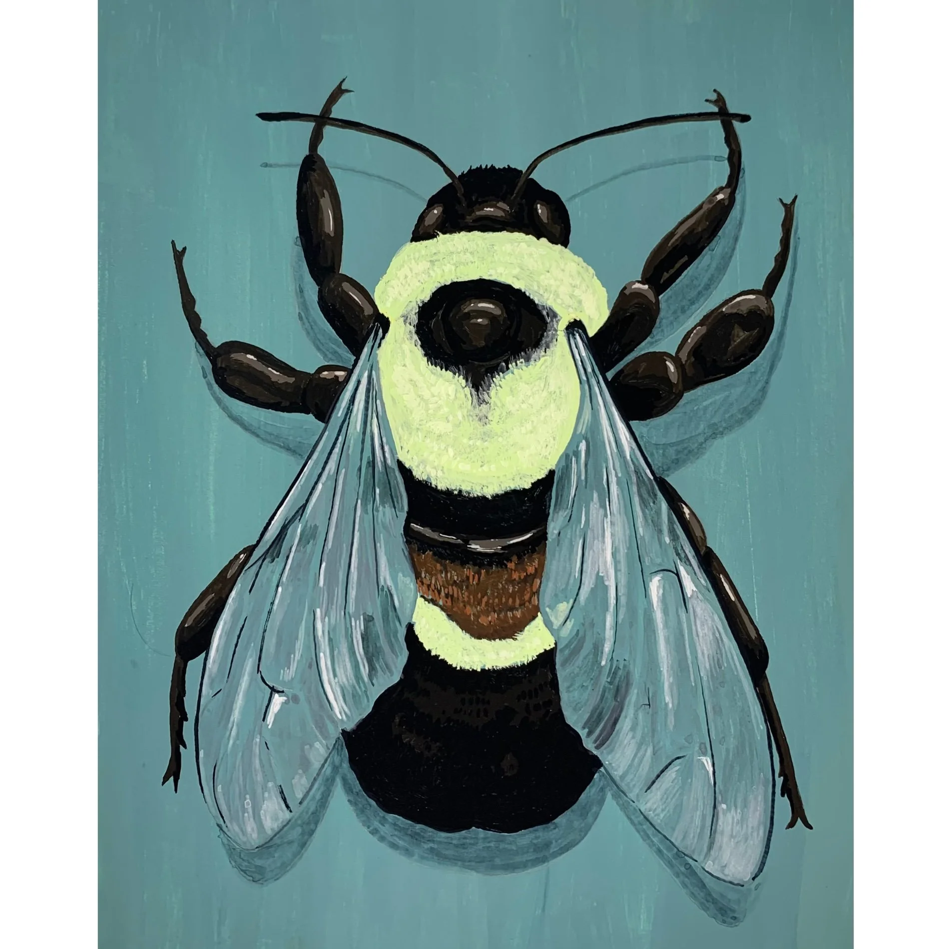 Gregory Snader - Rusty Patched Bumblebee