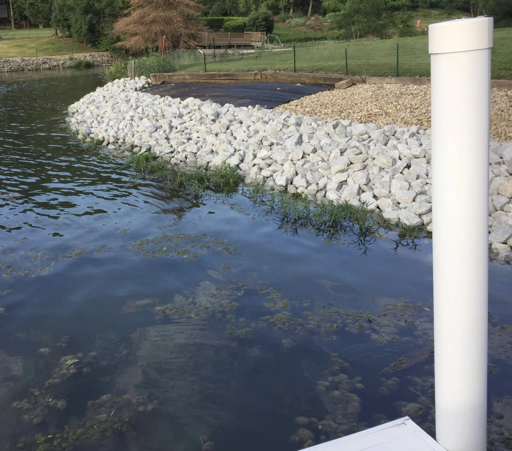 Image 3-17-24 at 4.55 PM (1).jpeg