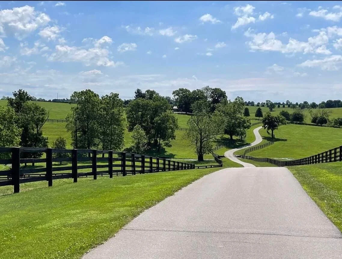 A winding paved road running through a green hilly countryside with trees and wooden fences, under partly cloudy blue sky.