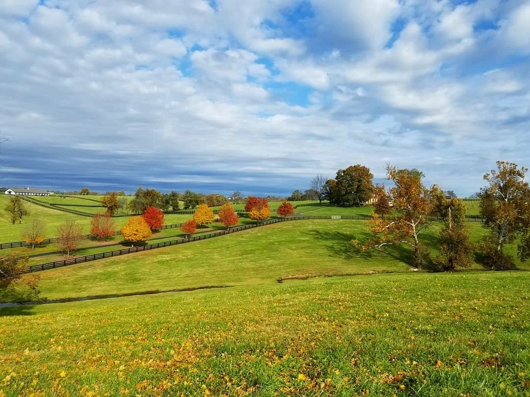 A scenic landscape with rolling green hills, colorful autumn trees, a wooden fence, and a partly cloudy sky.