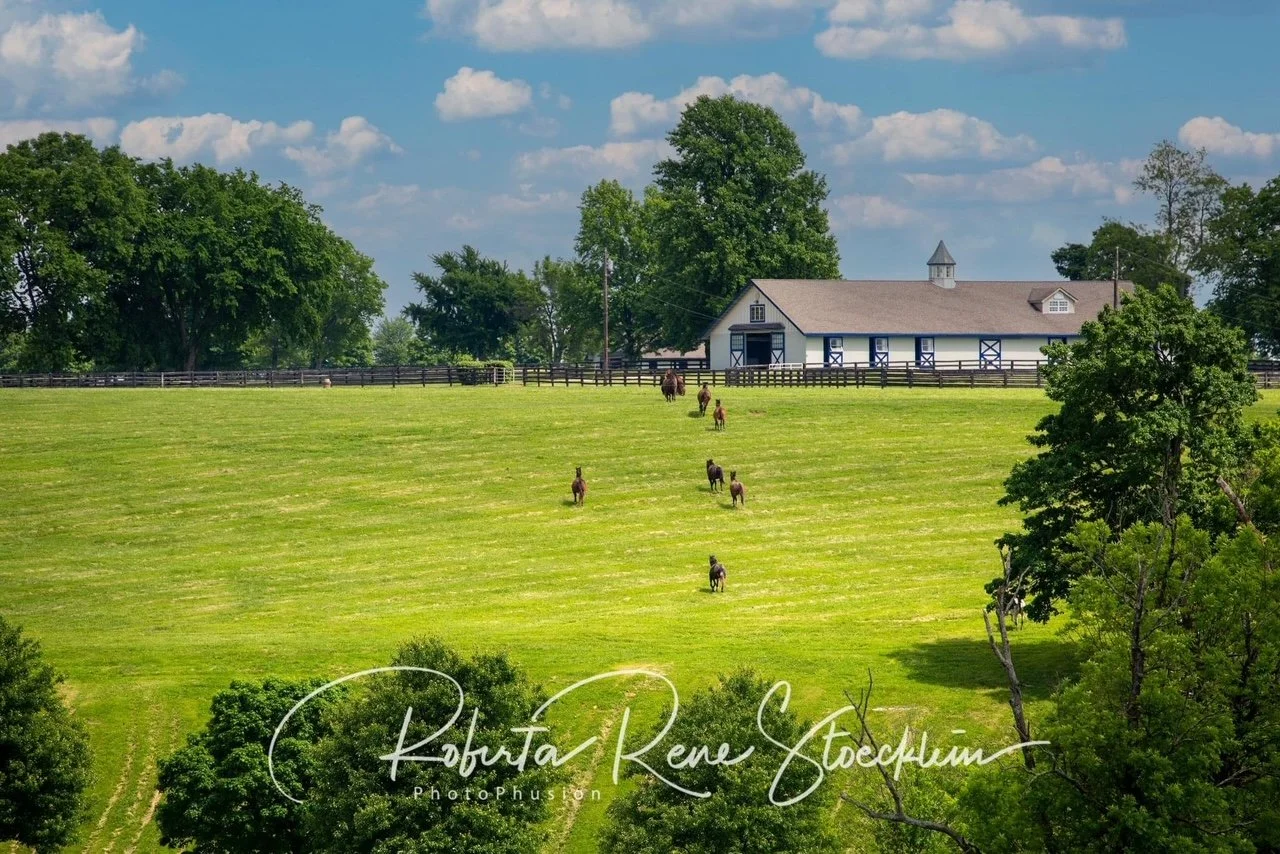 A lush green hillside farm with a large barn, several trees, and horses grazing on the slope, under a bright blue sky with scattered clouds.