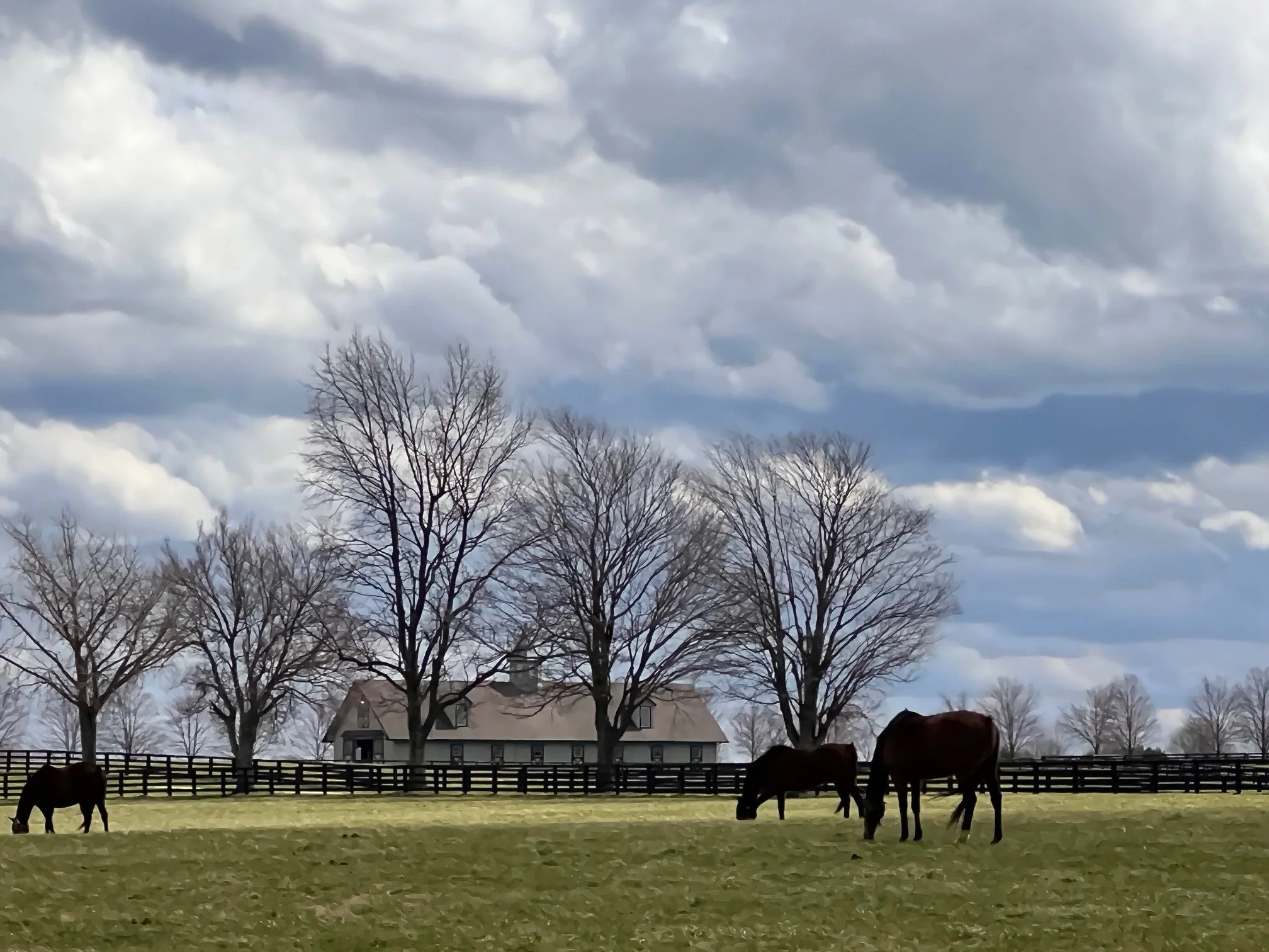 A peaceful rural scene with three horses grazing on a grassy field, leafless trees, a house with a sloped roof, and a cloudy sky.