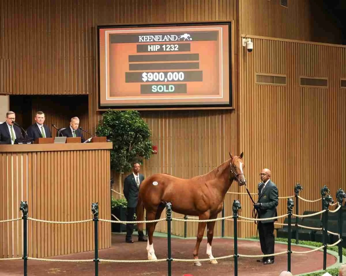 A horse auction setting with a chestnut horse and auction staff. A large digital display shows the horse's details, including its name, hip number, sale price, and status as sold.