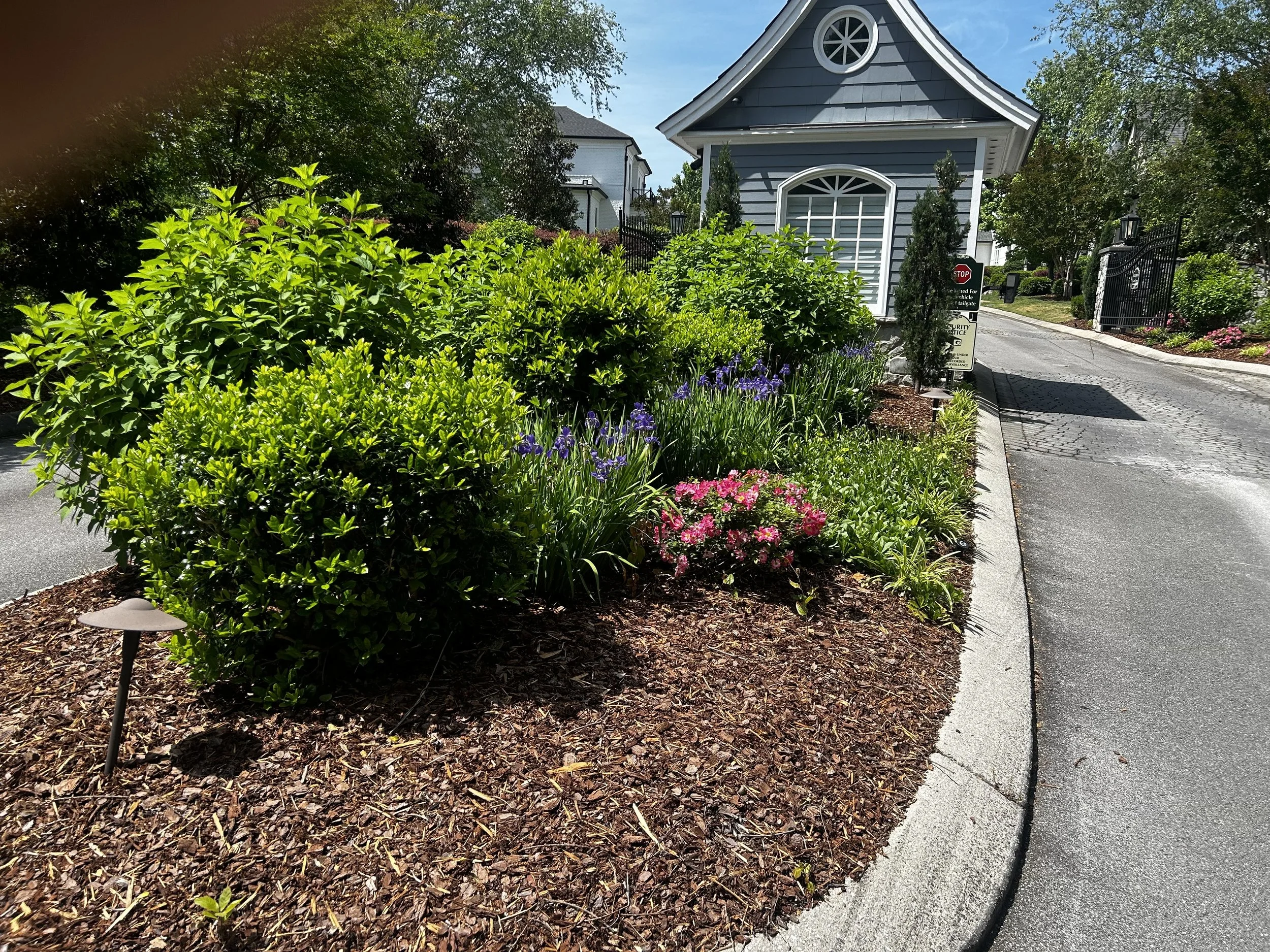 A landscaped garden area with green bushes, purple flowers, pink flowers, and mulch, leading to a driveway next to a blue house with white trim and a curved window.