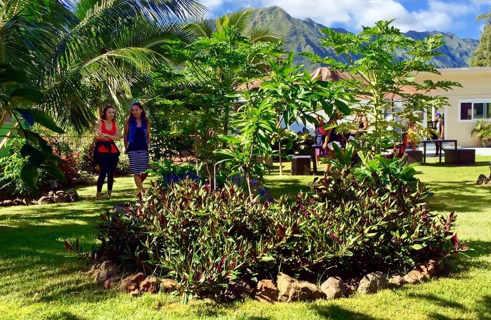 ai love nalo garden.jpg