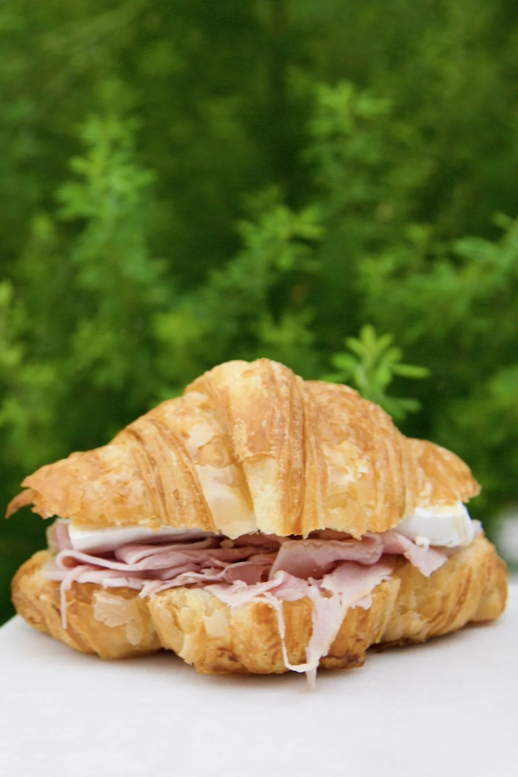 Mini Ham & Brie Croissants.jpeg