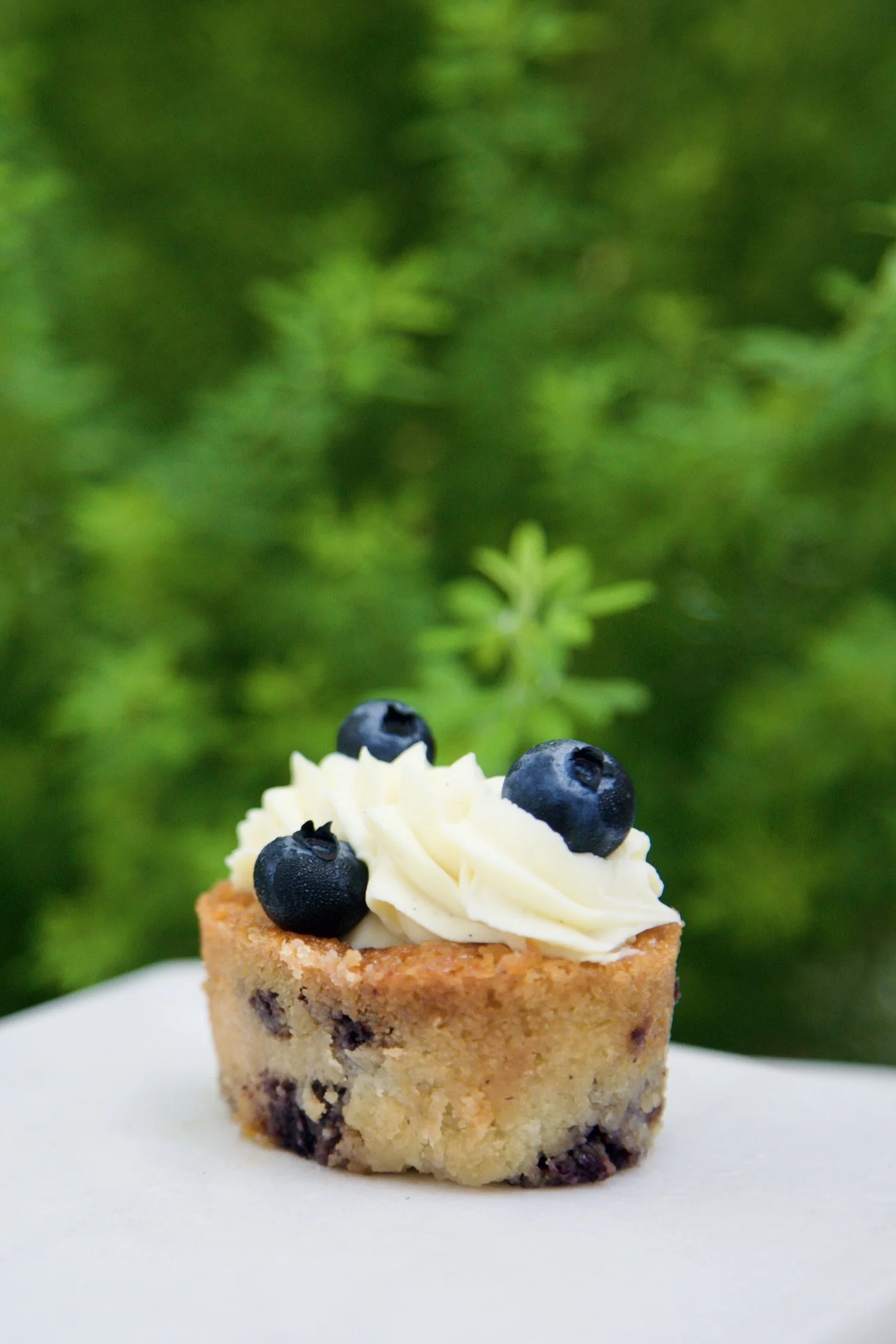 Blueberry Friand.jpeg