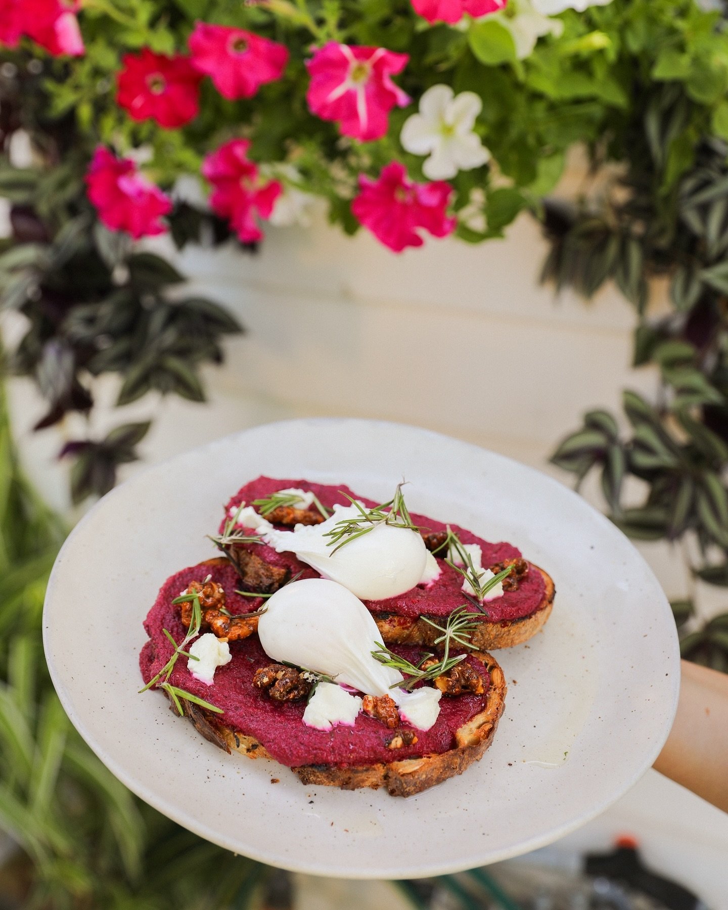 Add some colour to your morning with our Purple Toast 💜

open 7 days 🤍