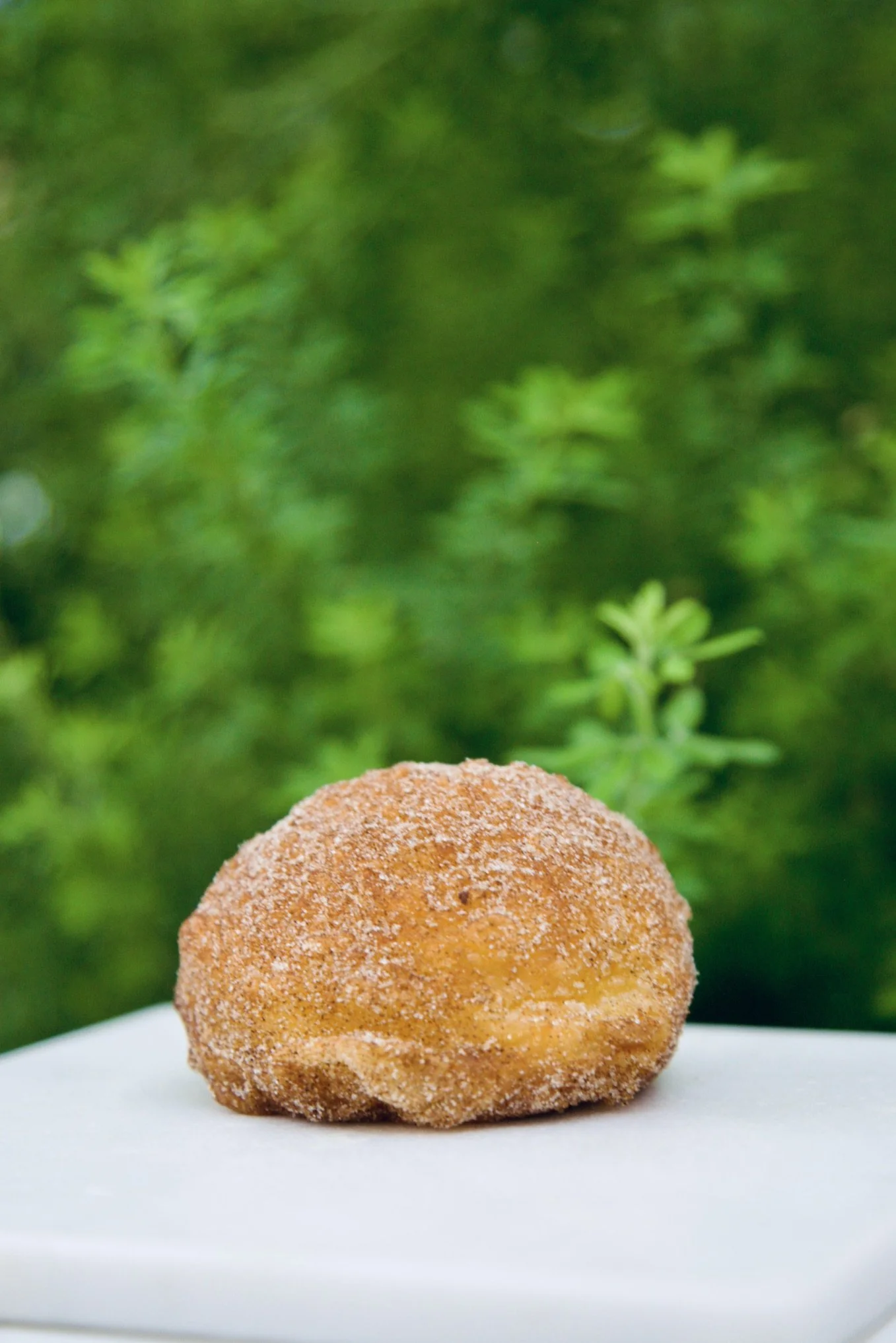 Vegan Cinnamon Bot.jpeg