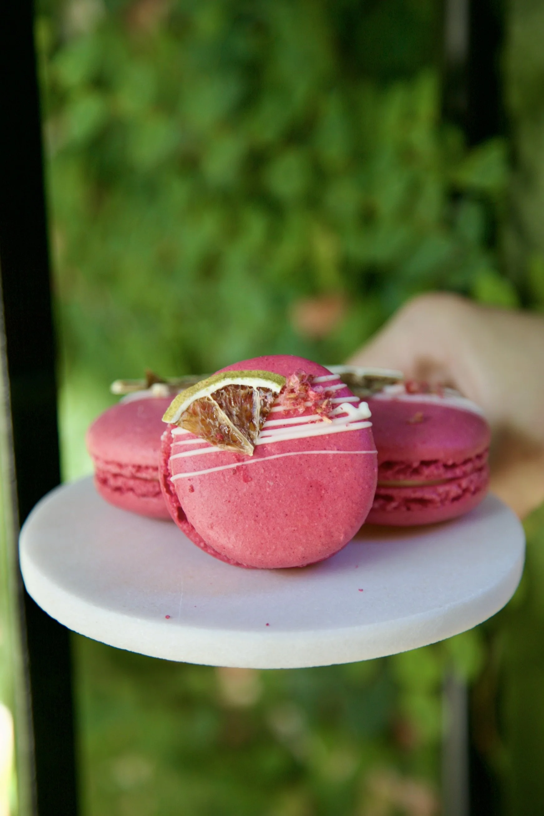 Seasonal Macaron.jpeg