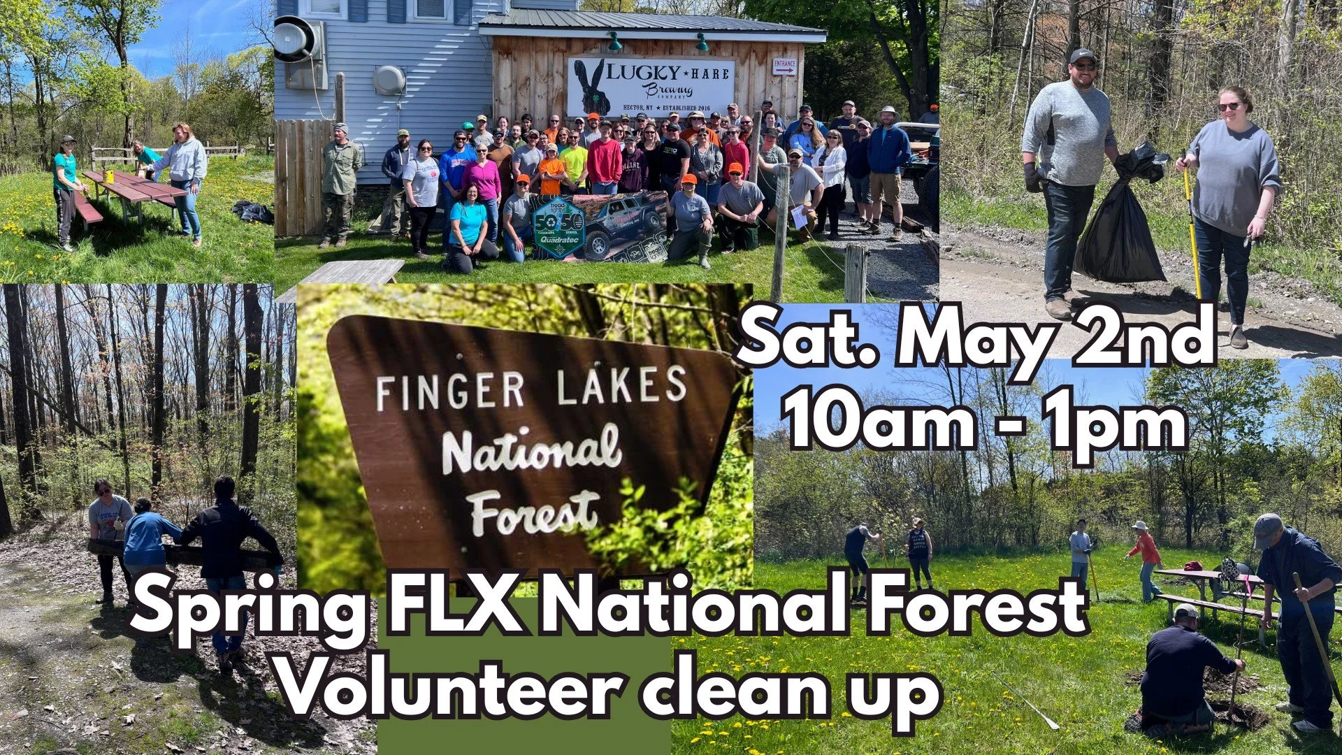 Spring Finger Lakes National Forest Cleanup