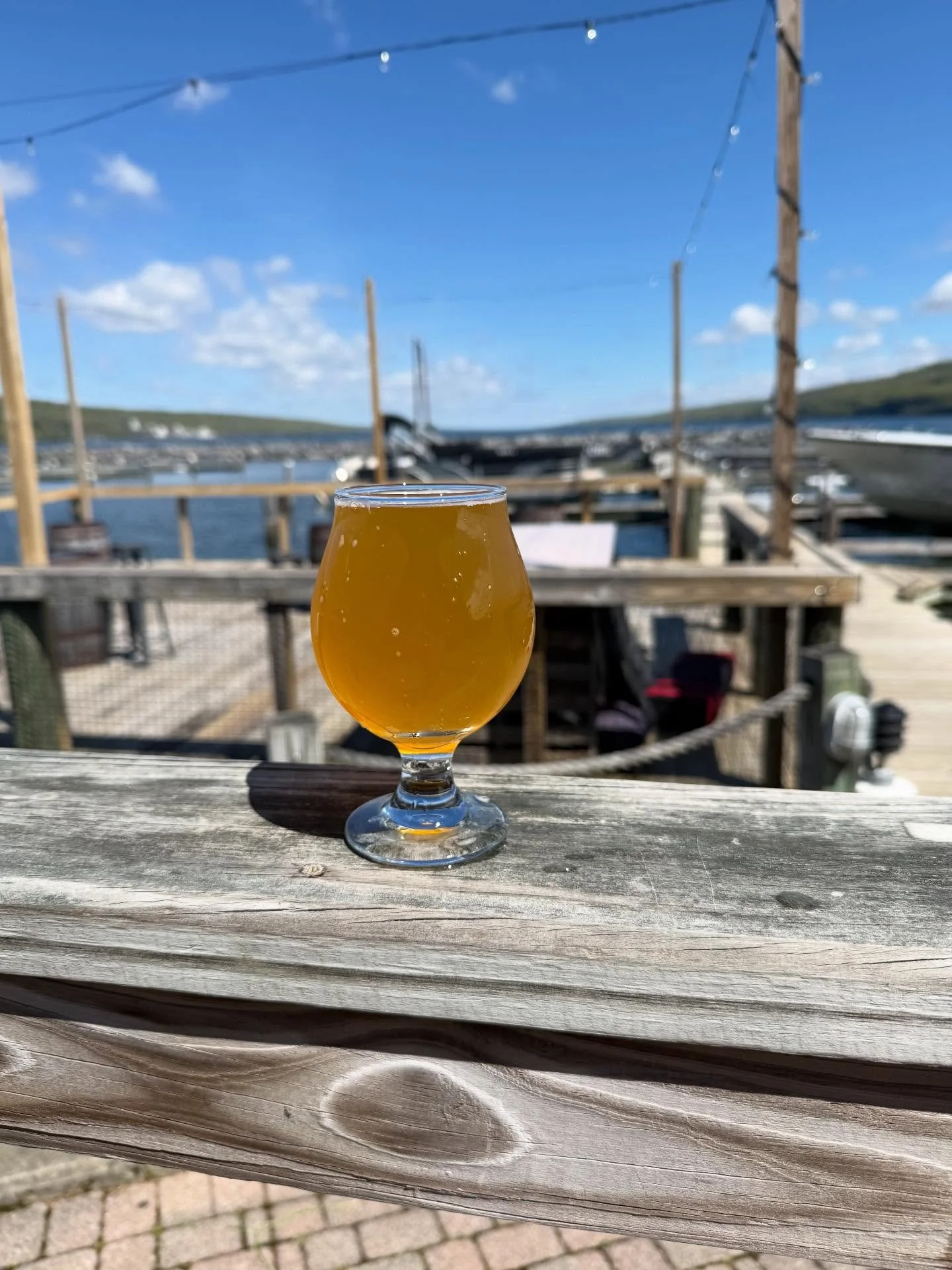 🍻Today&rsquo;s beer release is an oldie but goodie &mdash; our Belgian Golden Ale, coming in at 8.3% ABV!

A true award winner, this beer took home a Gold Medal at the 2019 NYS Beer Competition. Expect inviting aromas of clove, peppercorn, and subtl