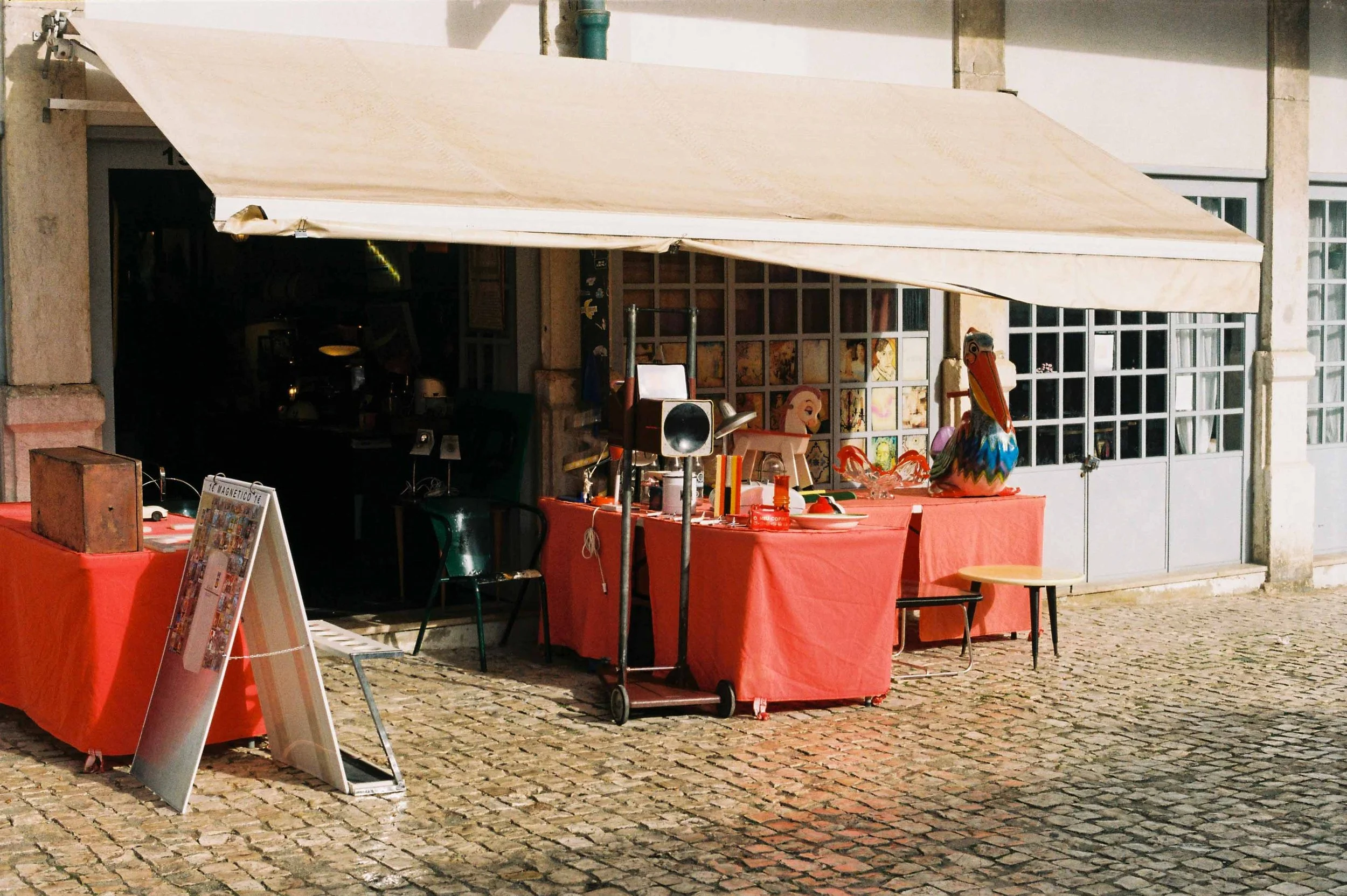 Website-3.jpg