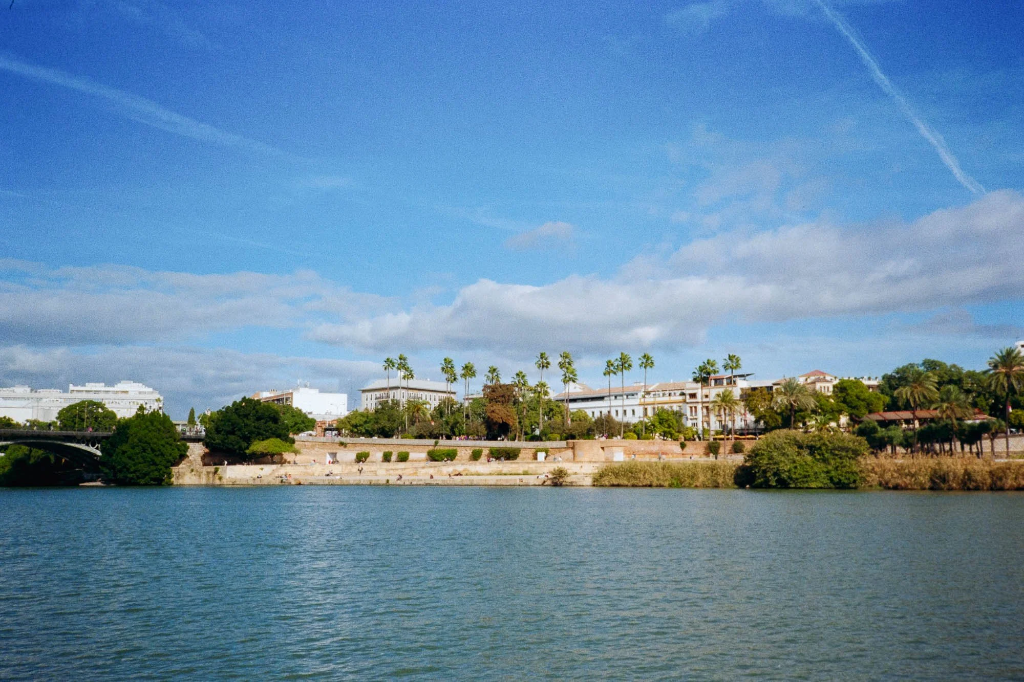 Sevilla Film Website-2.jpg