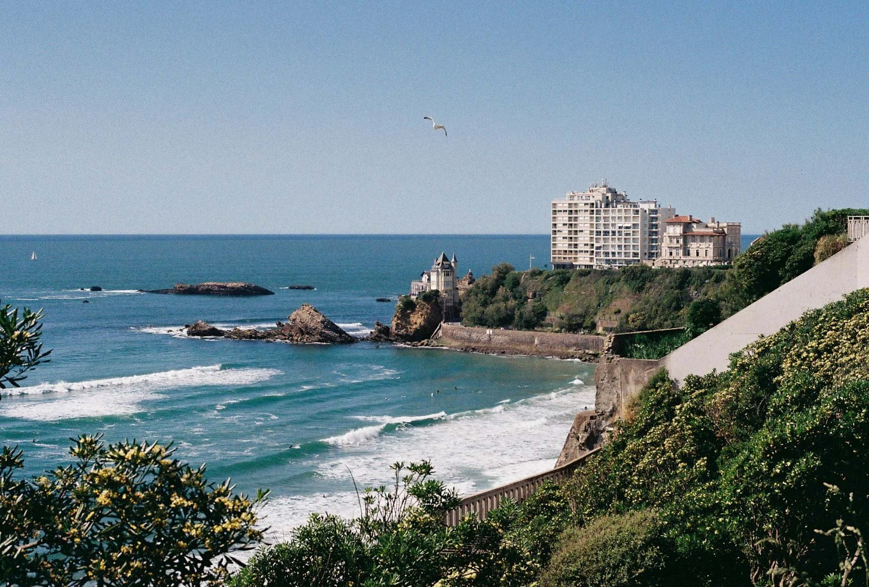 Basque Color Website-13.jpg