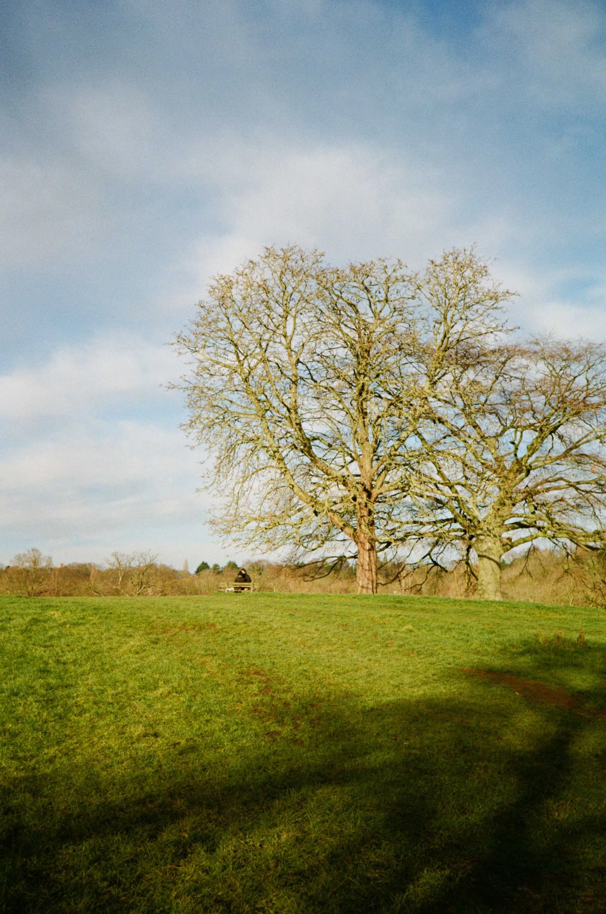 Hampstead Heath Website-16.jpg