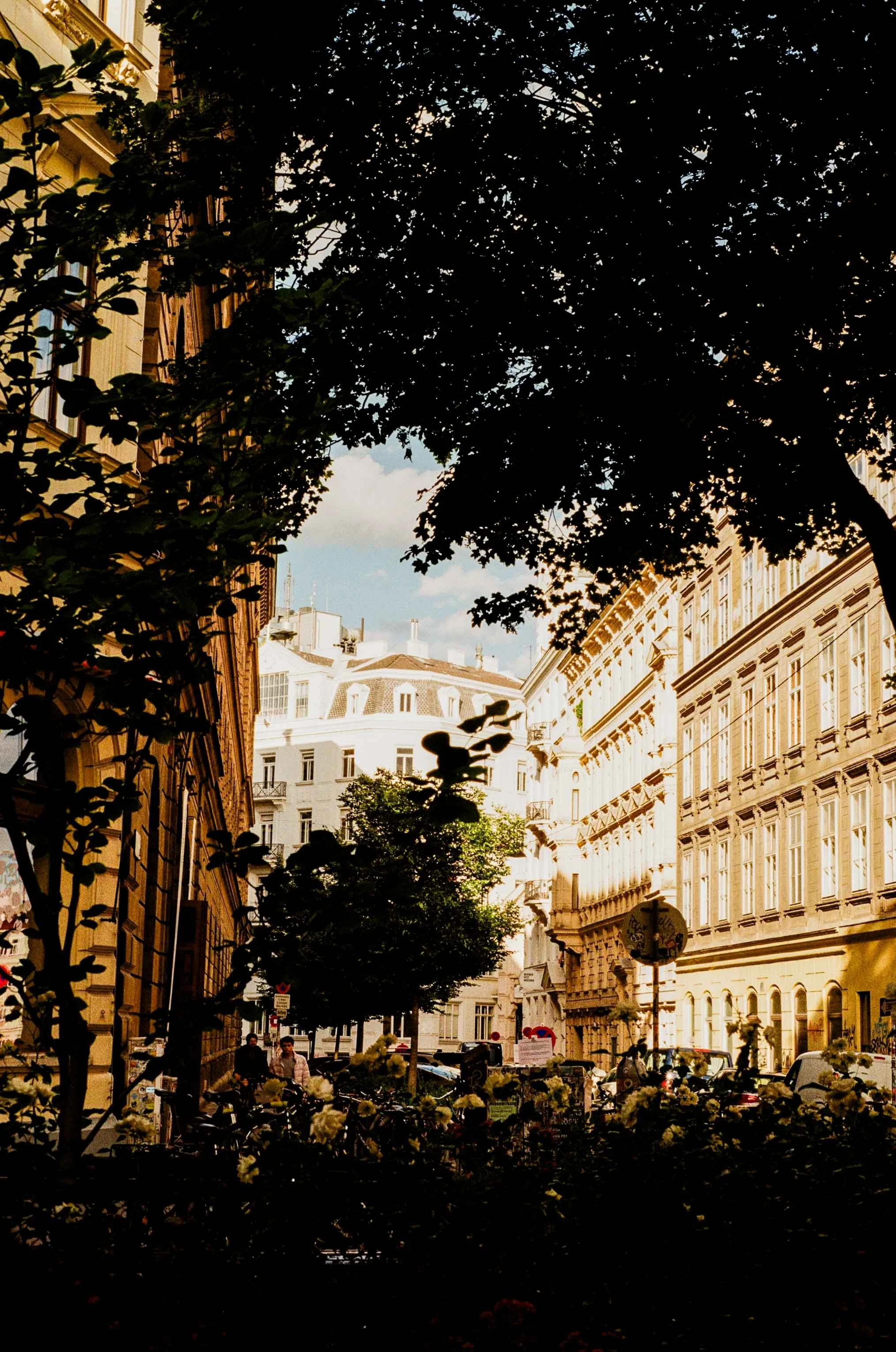 Vienna-000022800011.jpg