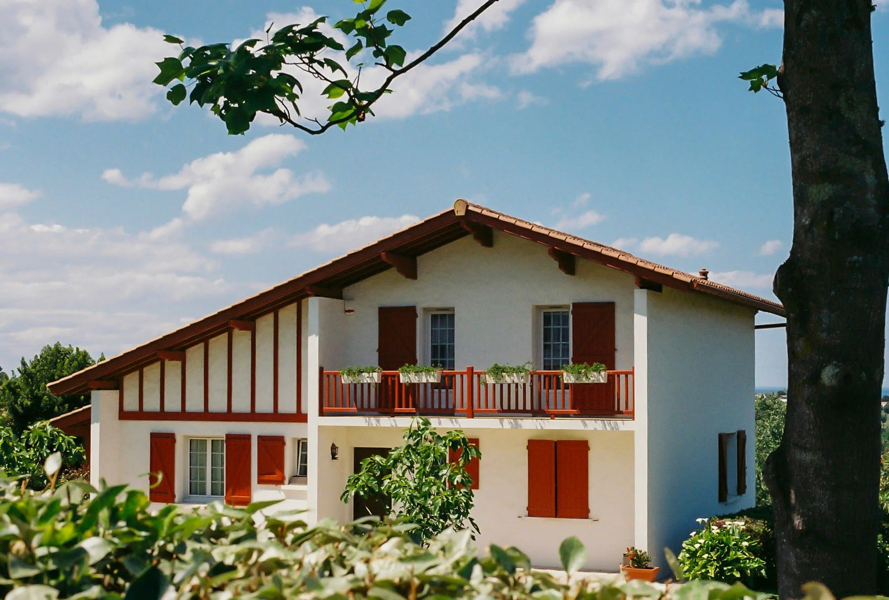 Basque Color Website-8.jpg
