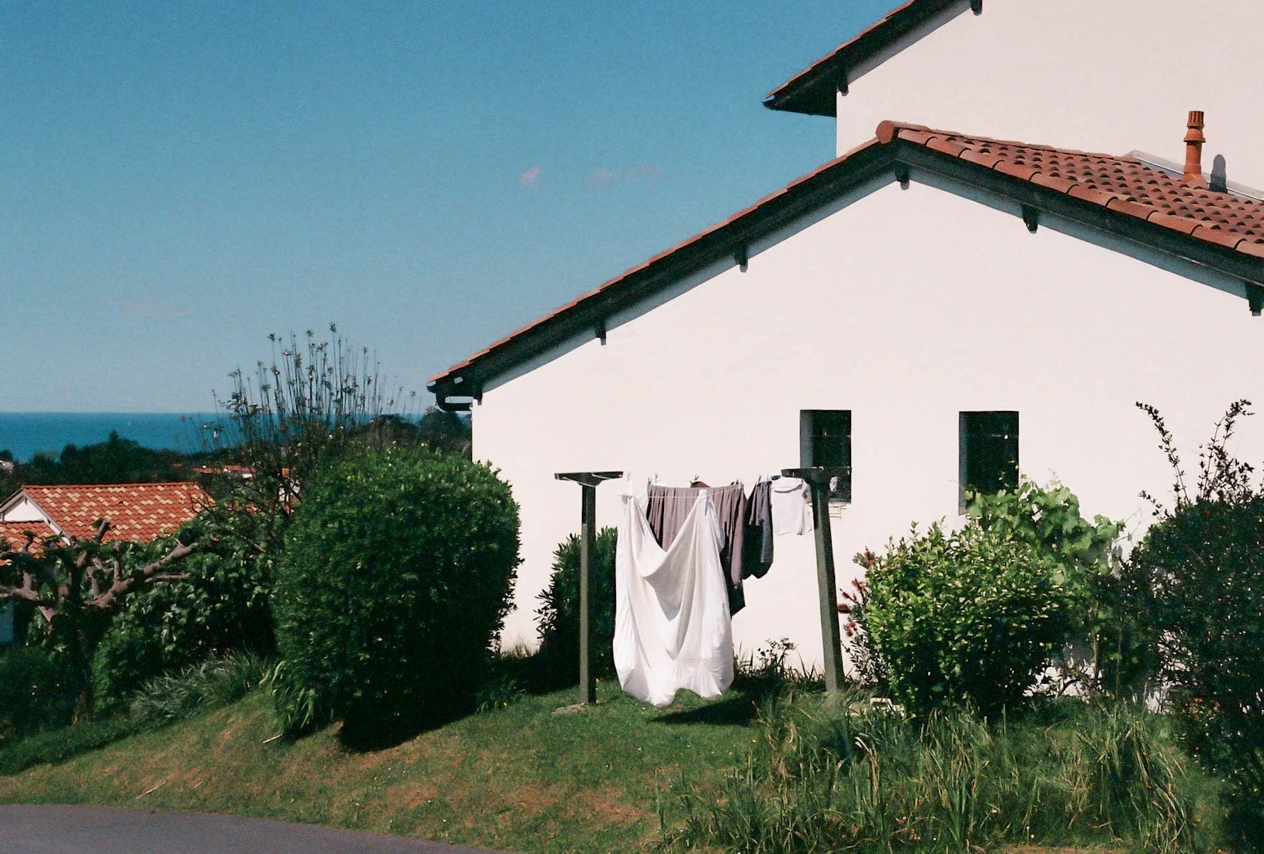 Basque Color Website-12.jpg
