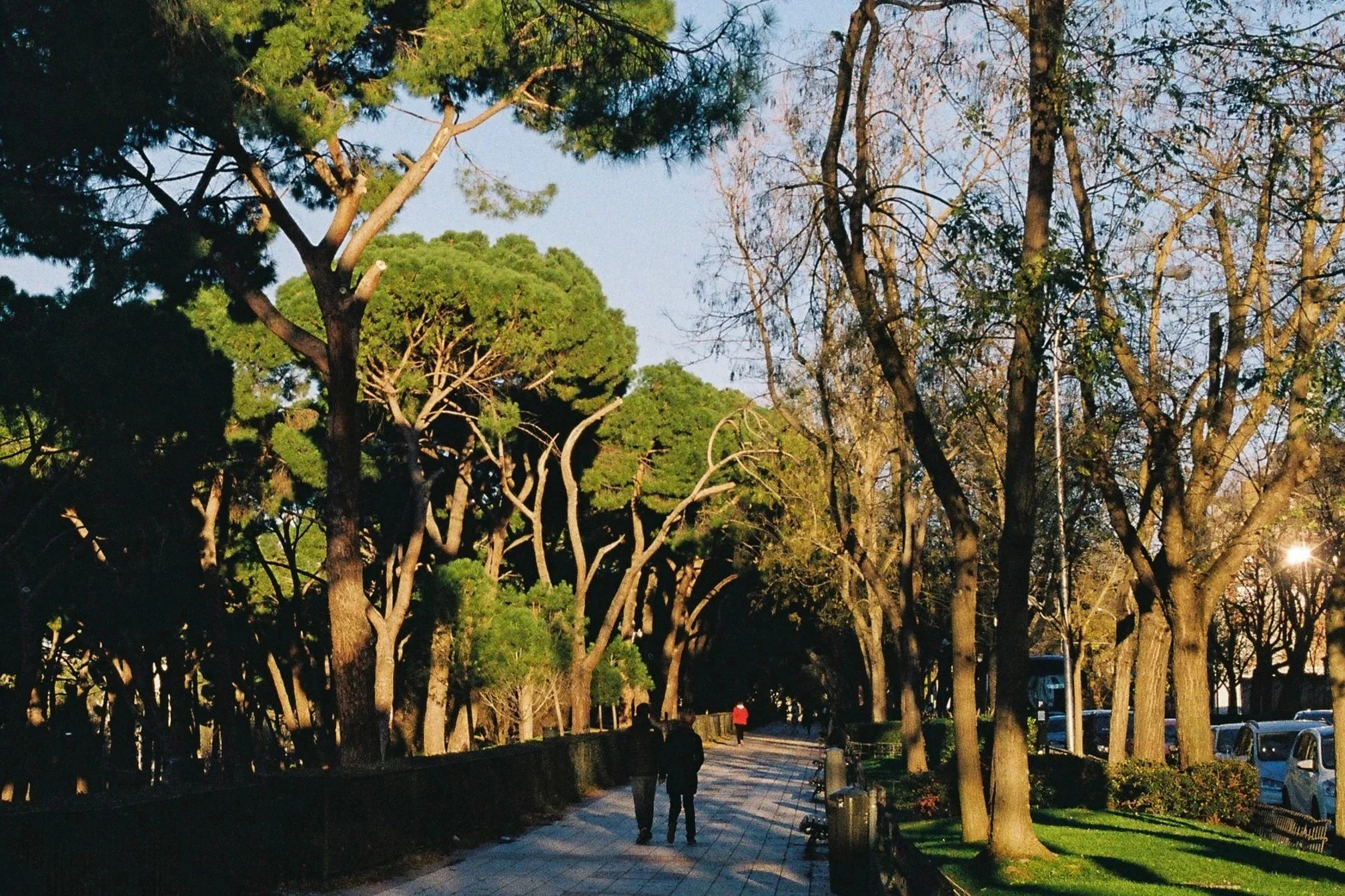 Madrid