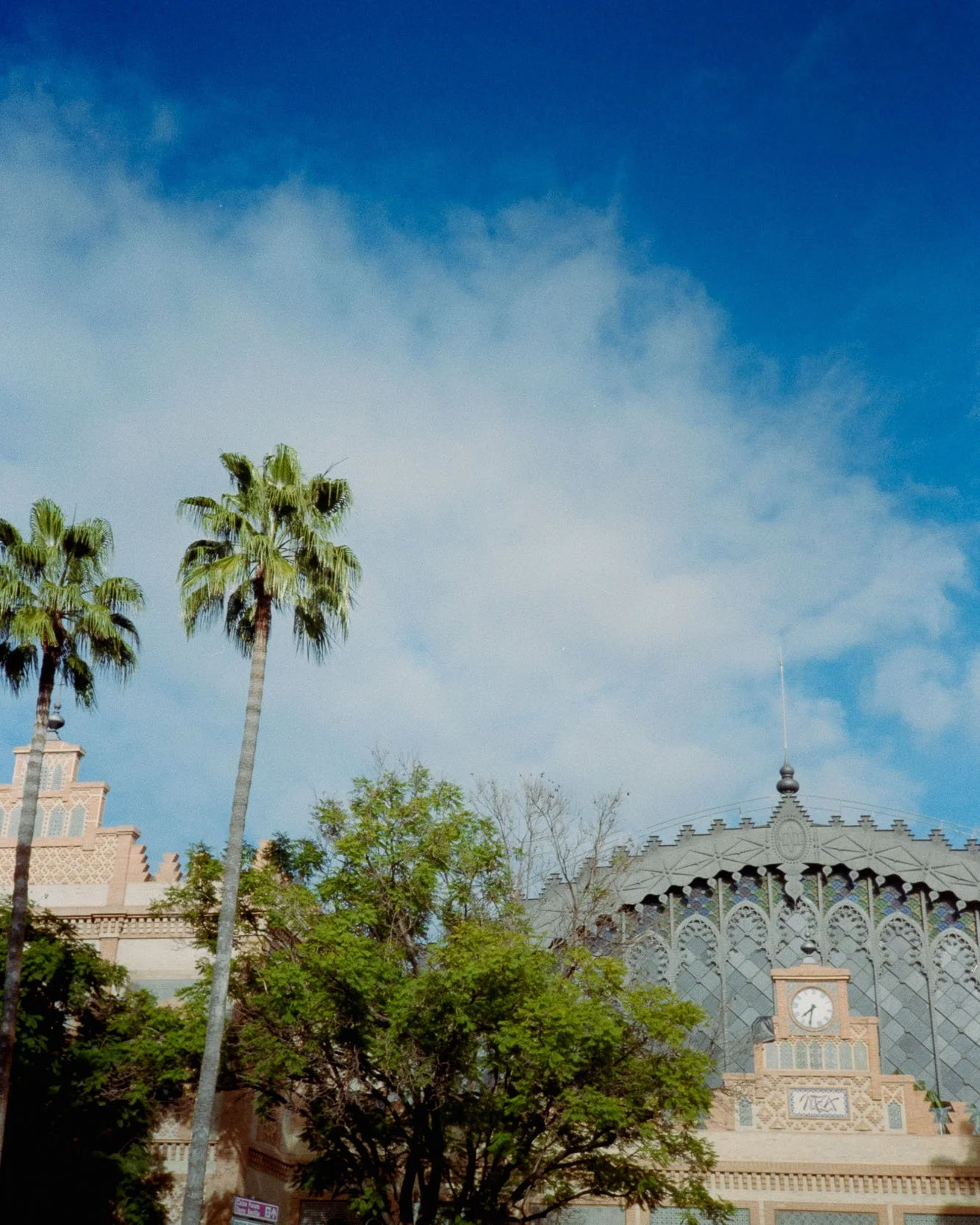 Sevilla Film Website-8.jpg