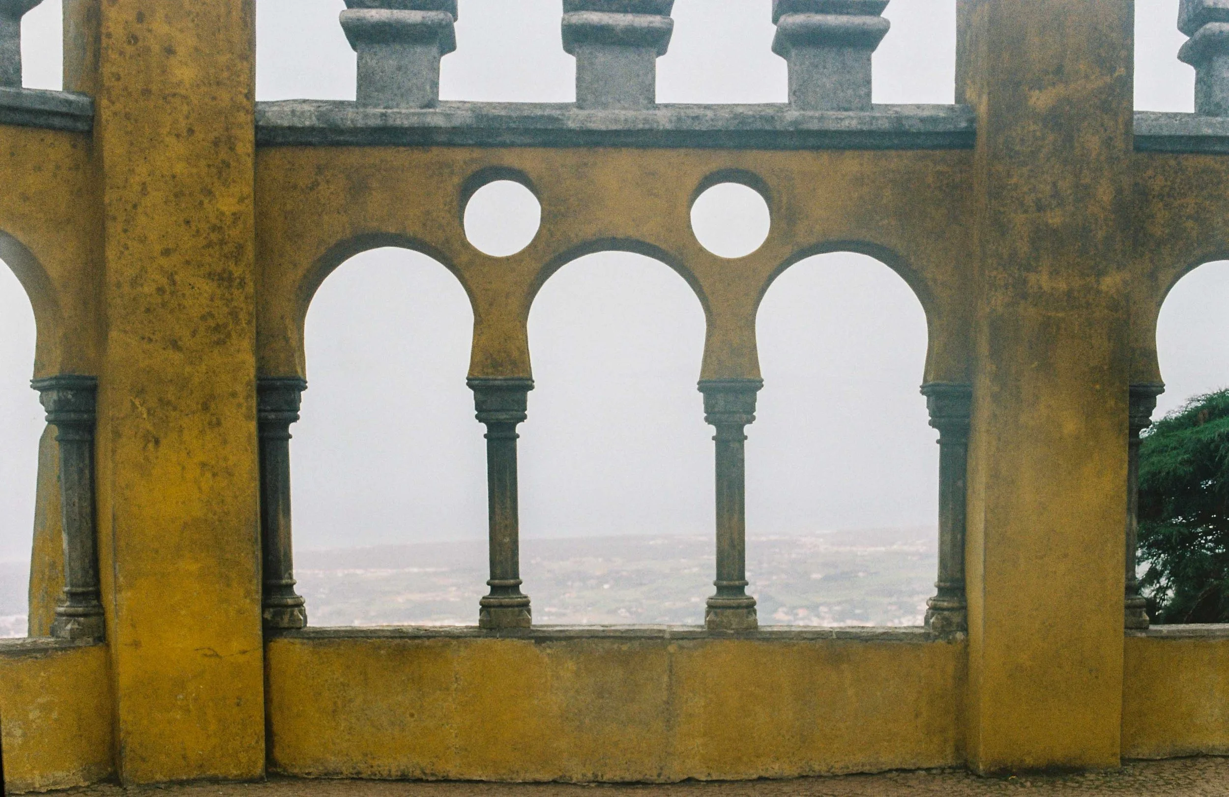 Website-15.jpg