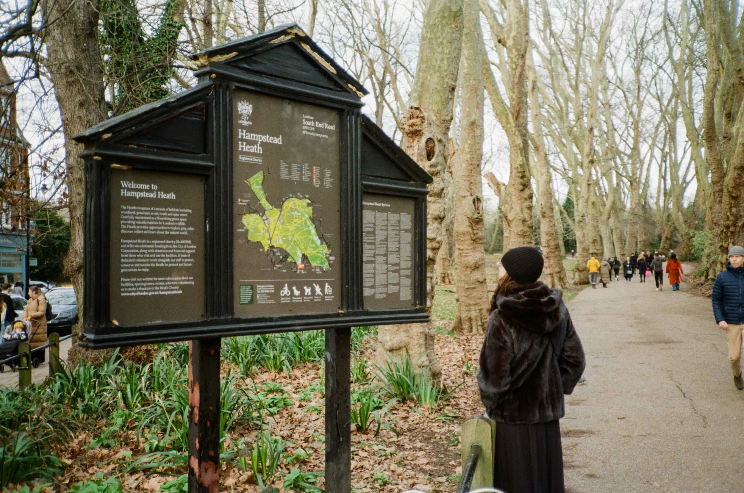Hampstead Heath Website-8.jpg