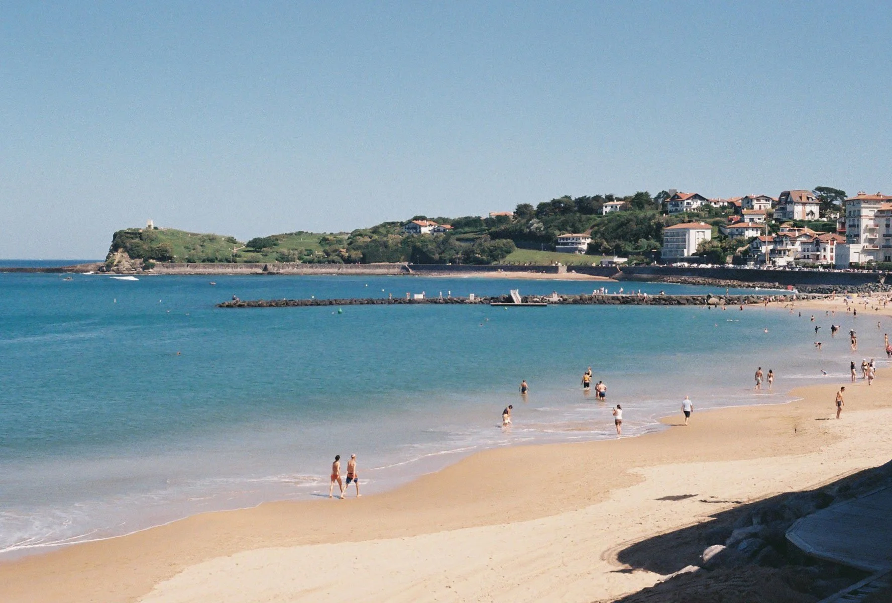 Basque Color Website-4.jpg