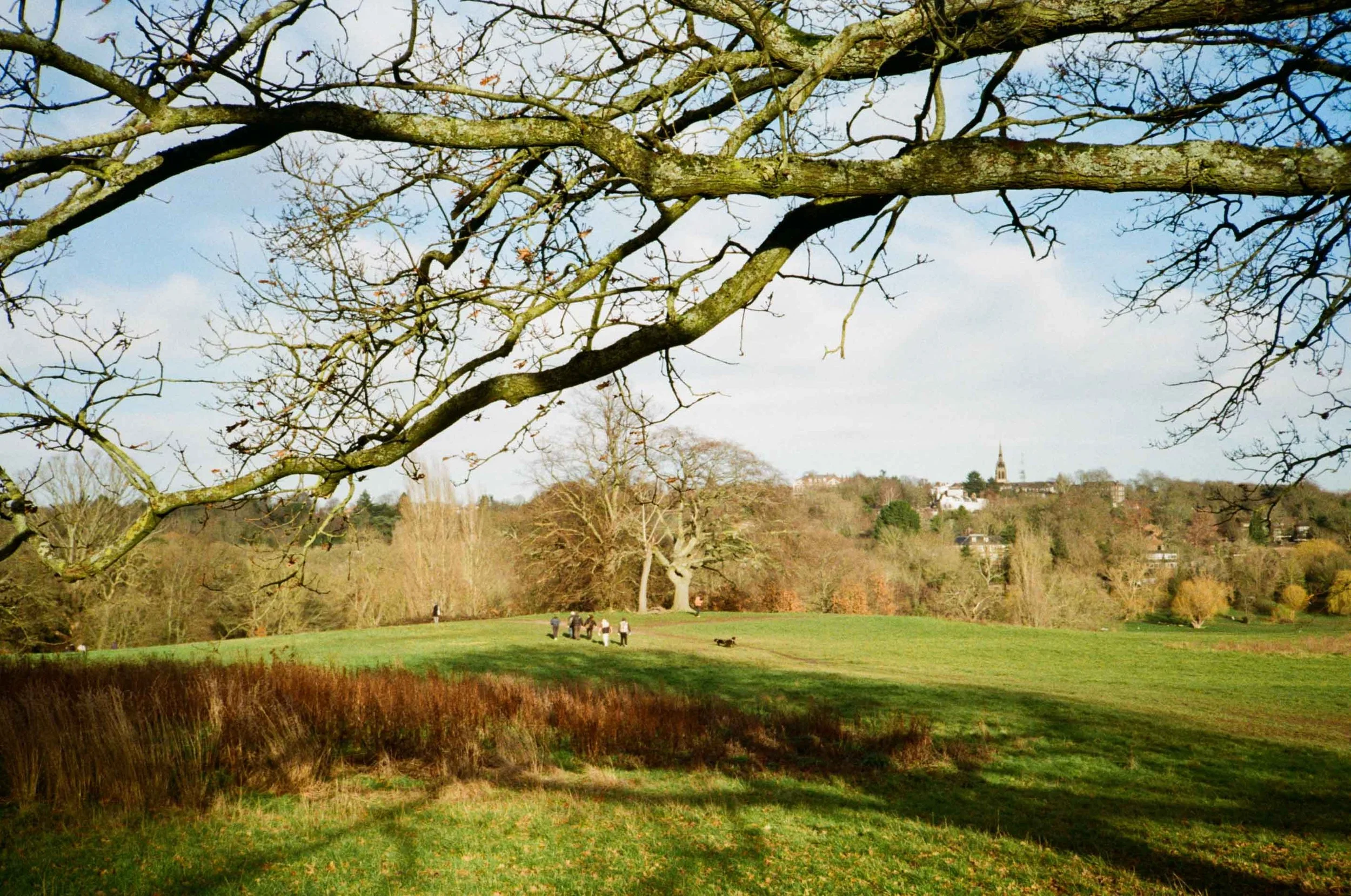 Hampstead Heath Website-14.jpg