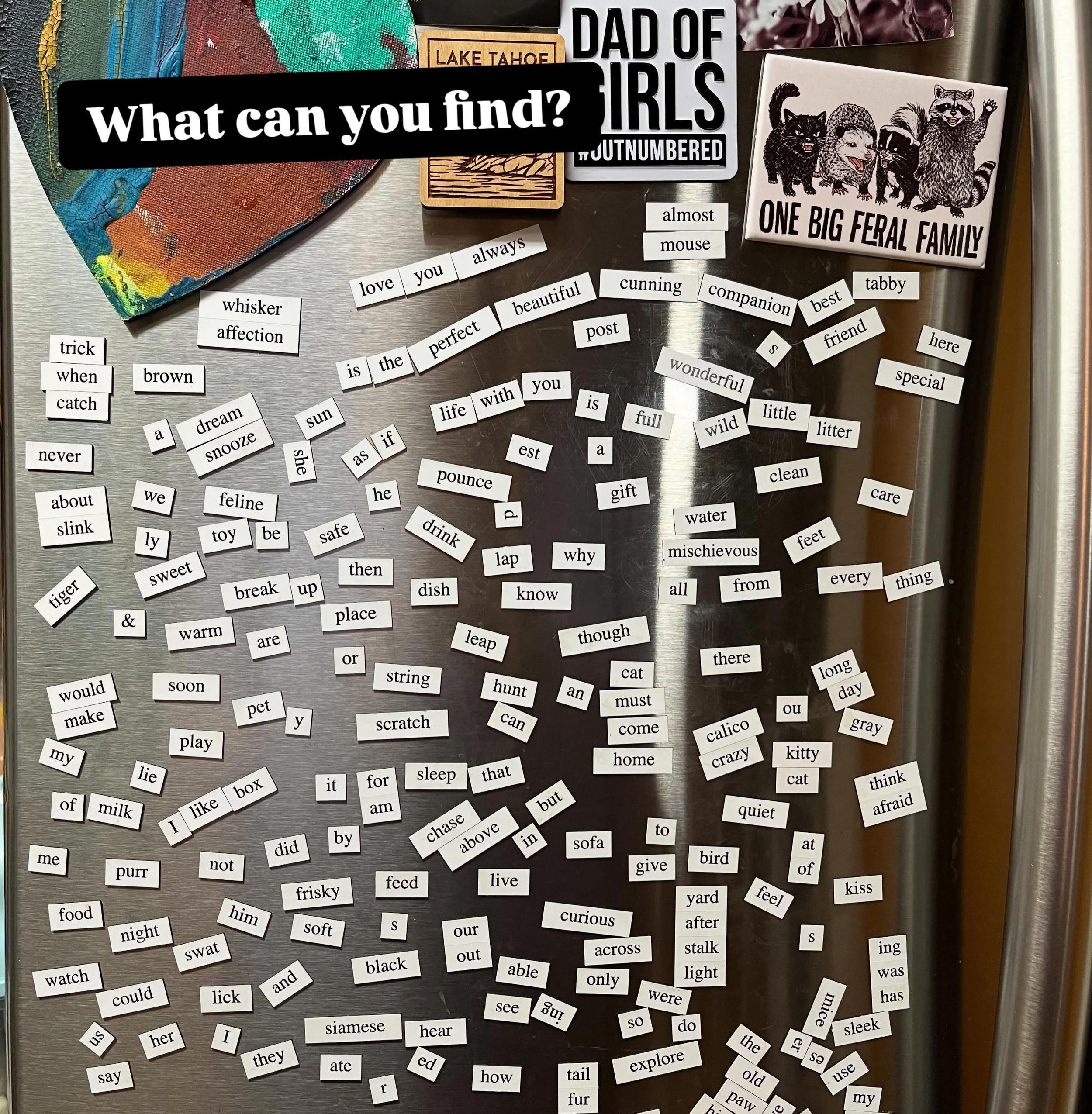 Cat magnets! What would you piece together?🥇🗯️🆒🔤 #magnets #wordsearch #fun #cats #fypシ