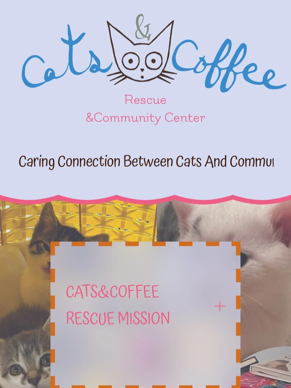 Have donations? We want em&rsquo;! 🥰 
Help us build a community closet! Building resources for our community in need, from the ground up.. with so much more coming. Join us in spreading our mission! 
Want to volunteer? Email aosborne@catsncoffeeresc
