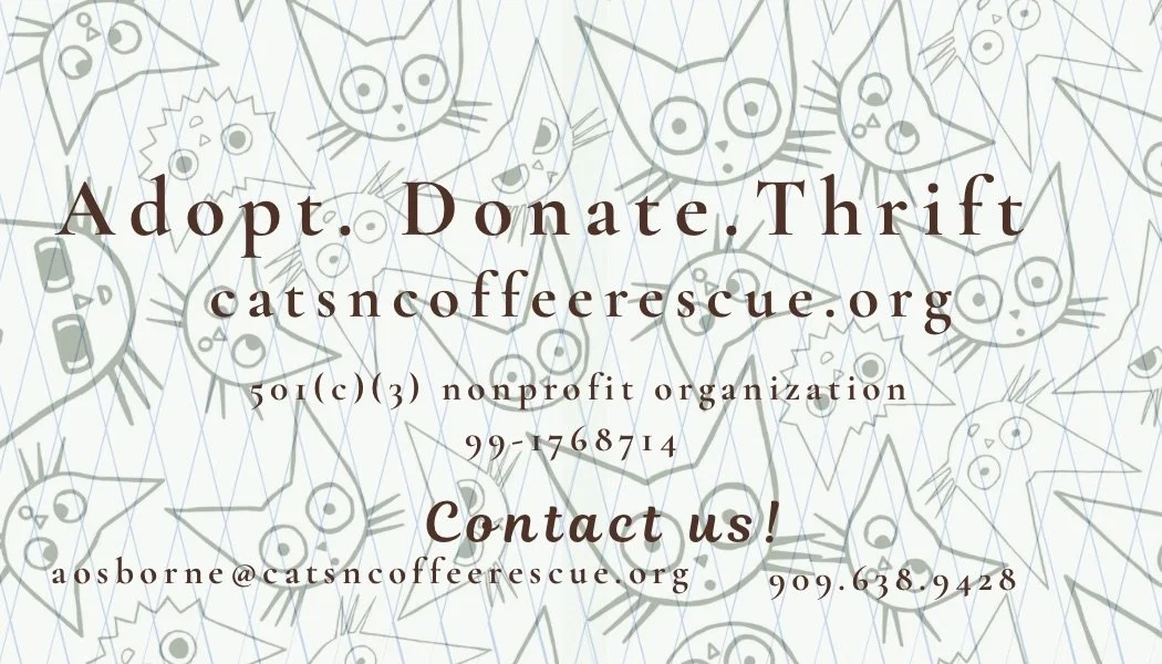 Cats& Coffee - 2.jpg