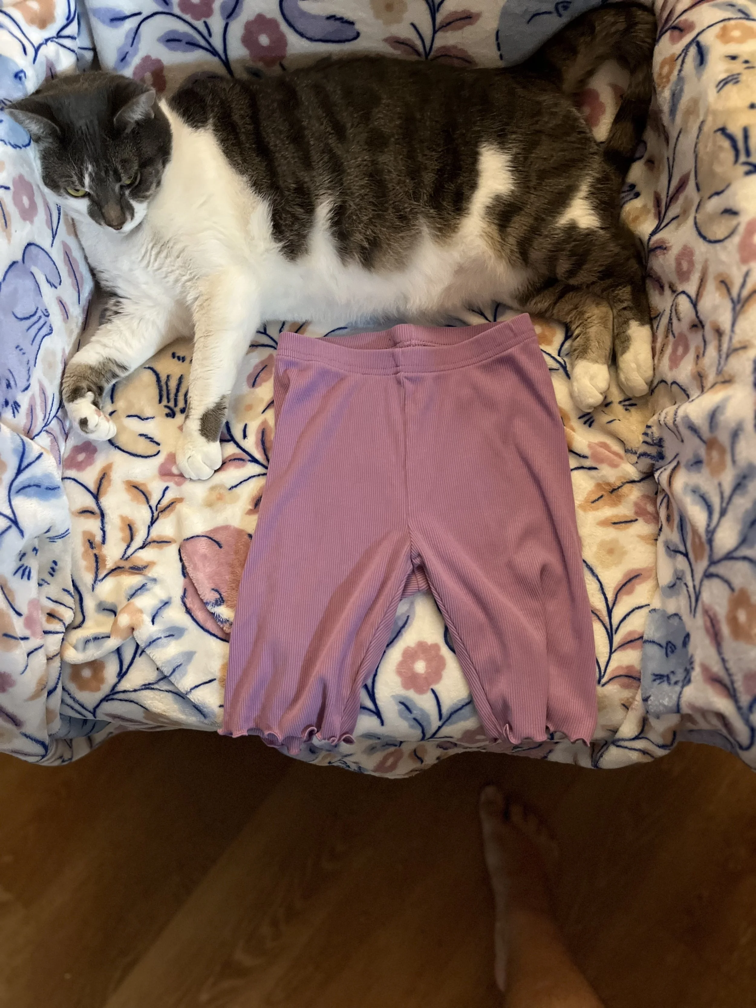 Kid Pink Shorts L
