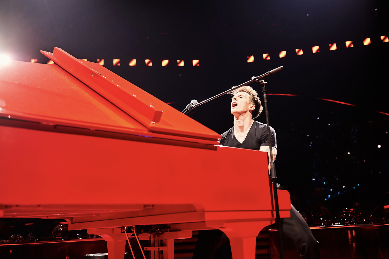 About — Stephen Ridley