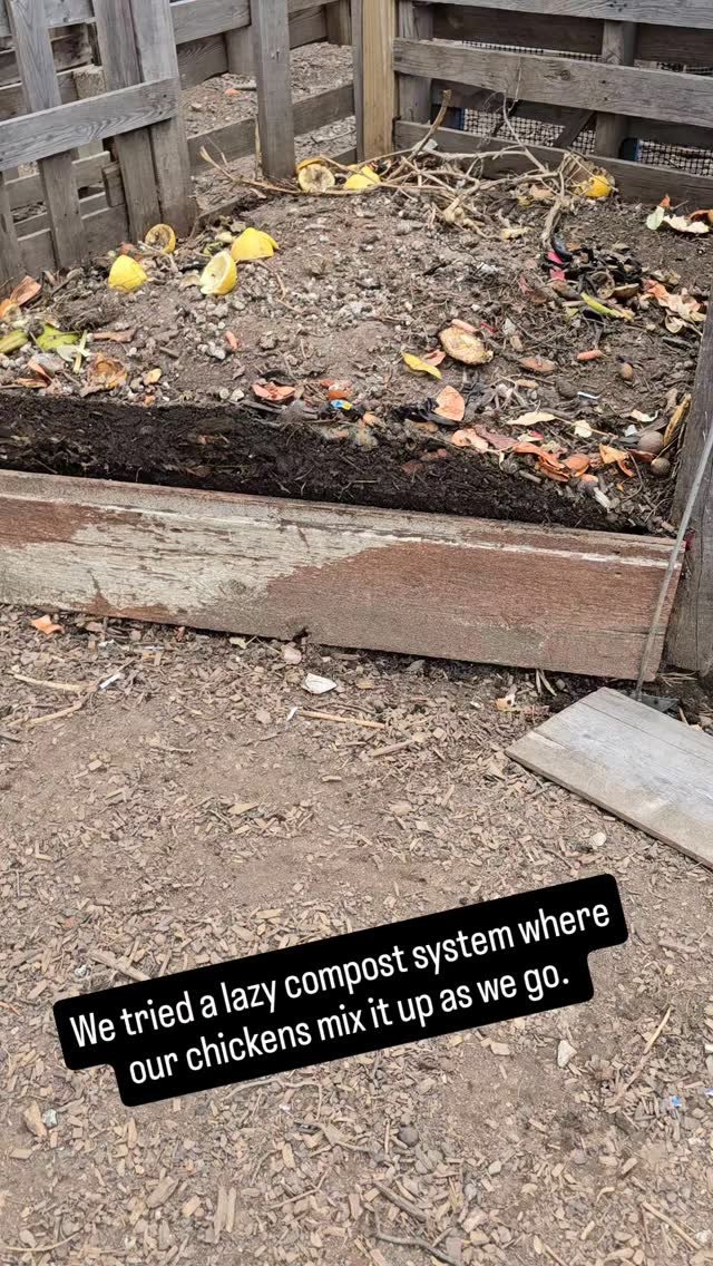 This is year 3 for our garden! So far, we have focused on getting plants in the ground. We are trying out growing tomatoes and potatoes in buckets this year. I look forward to taking care of the garden, and it becomes a family activity that is full c