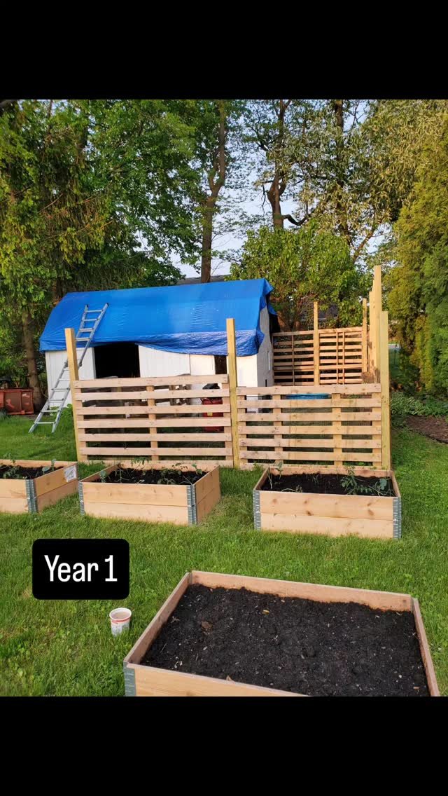 Every gardner has a story, every homesteader has a journey. Ours is unique with its own challenges. It turns out keeping free range chickens out of the garden is not an easy task.