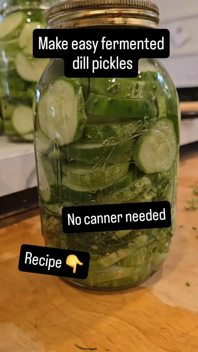 10-12 pickles(however many you can squeeze into your jars, we had 4 jars)
Bunch of dill
Mustard seeds
Peppercorns
Red pepper flakes
Garlic
Brine 2tsp salt/cup of filtered water
Top with grape leaf, weights, and pickle pipes
Check on them daily, I tas