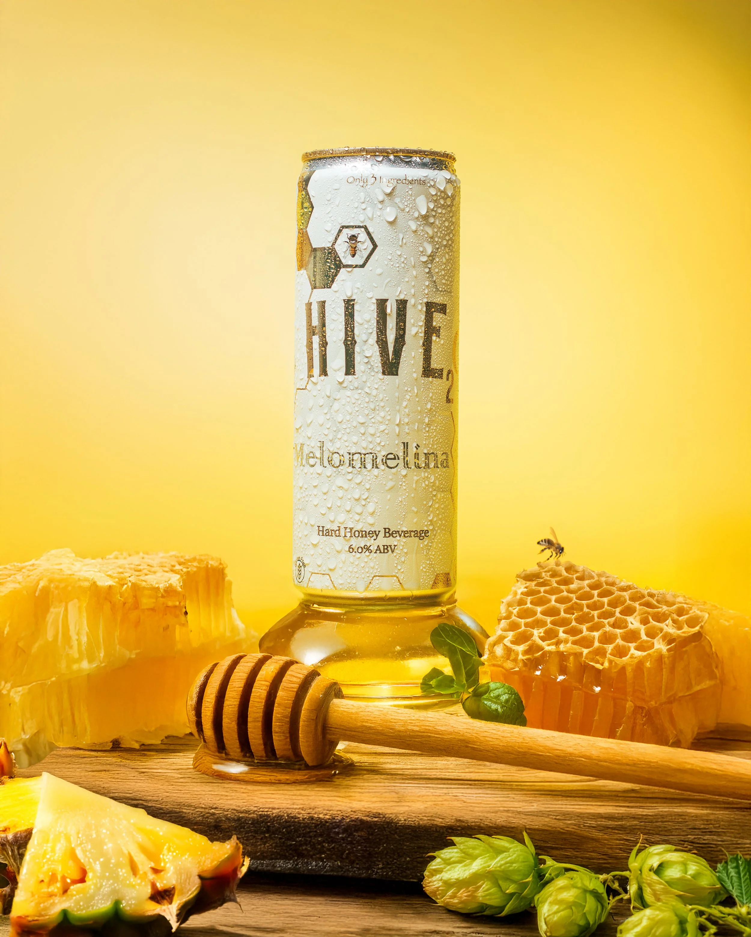 6V2A7520-Enhafnced-NR copy.jpg