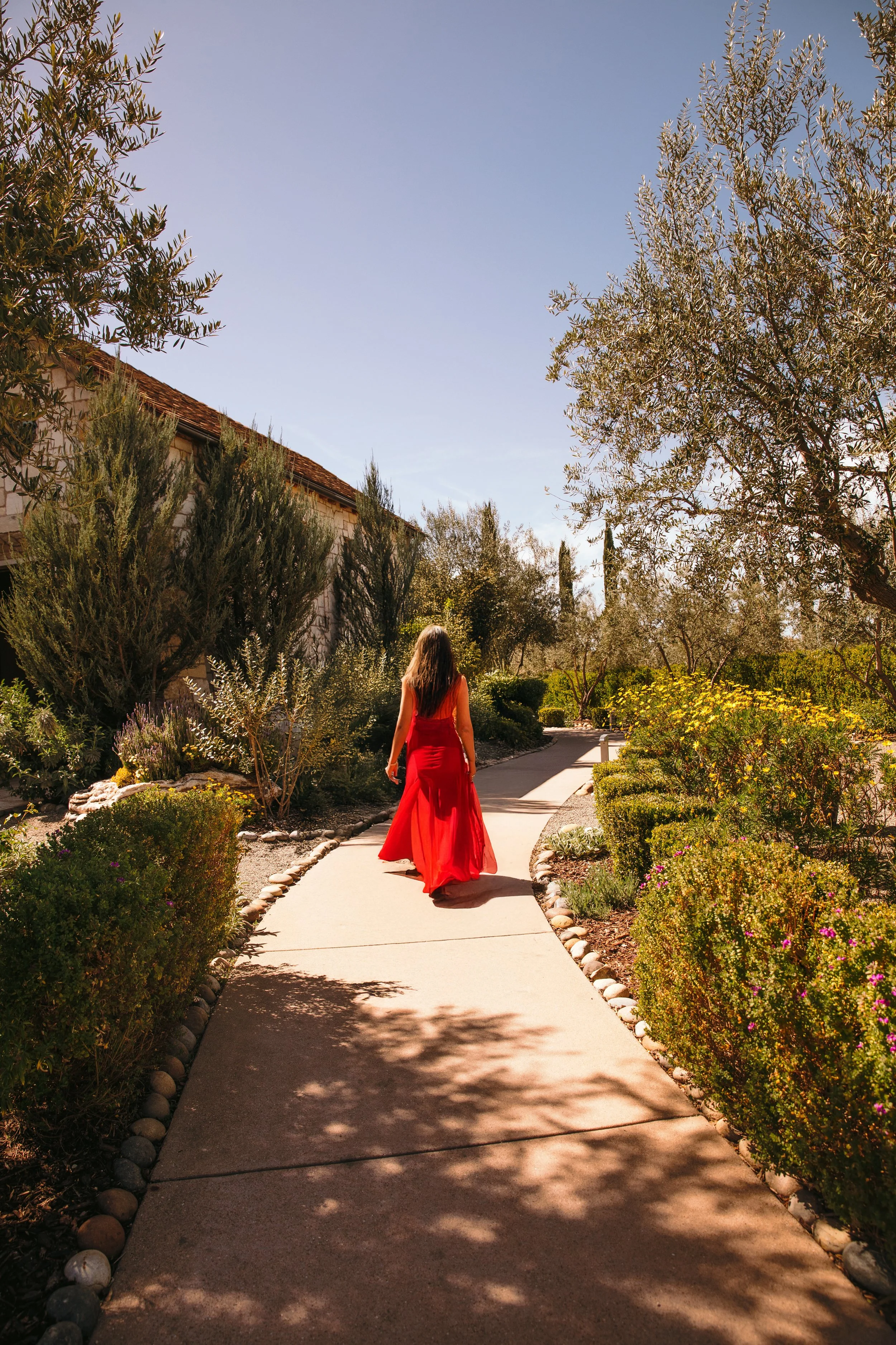 6V2A0894 copy_Afterlight.JPG