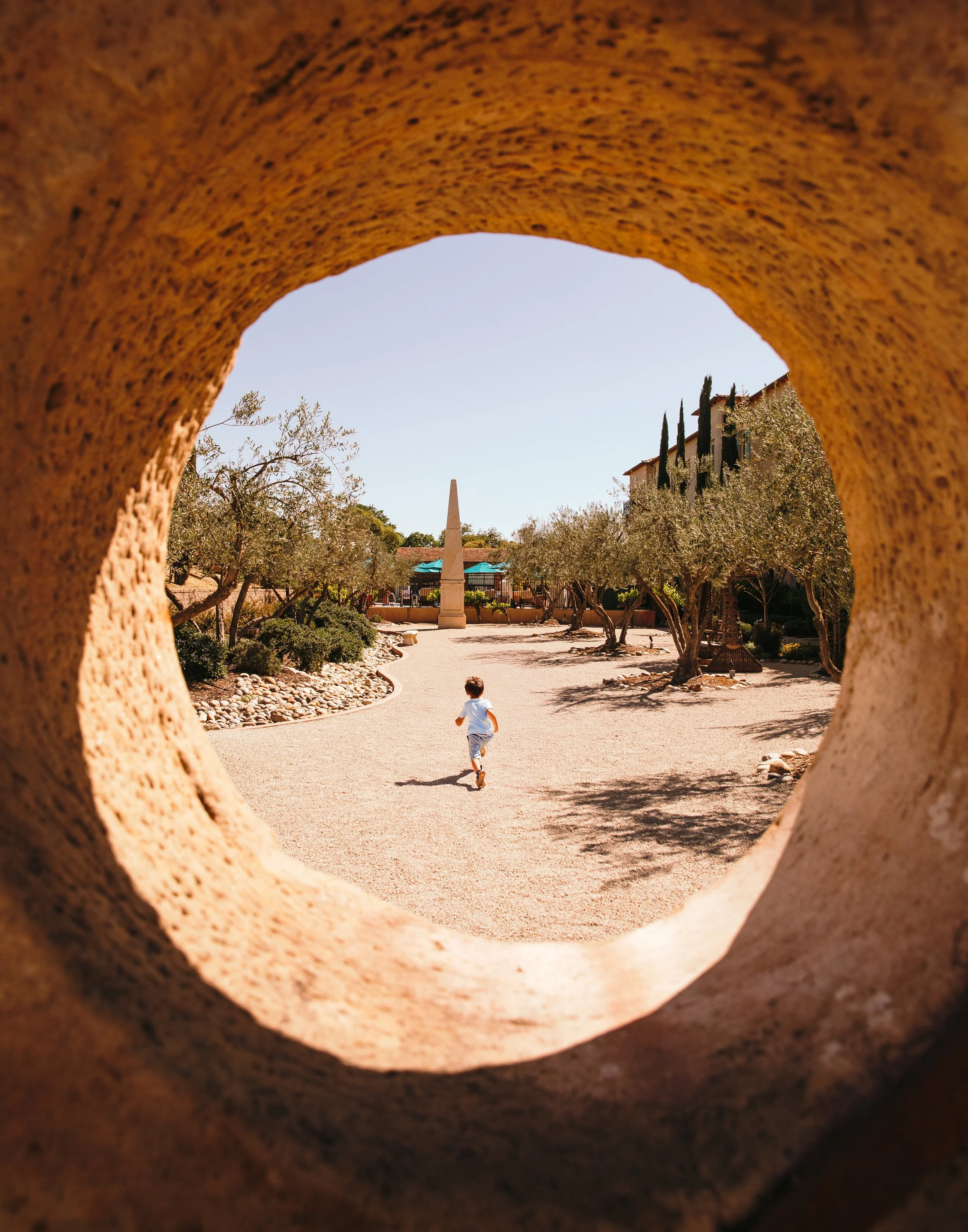 6V2A0895 copy_Afterlight.JPG